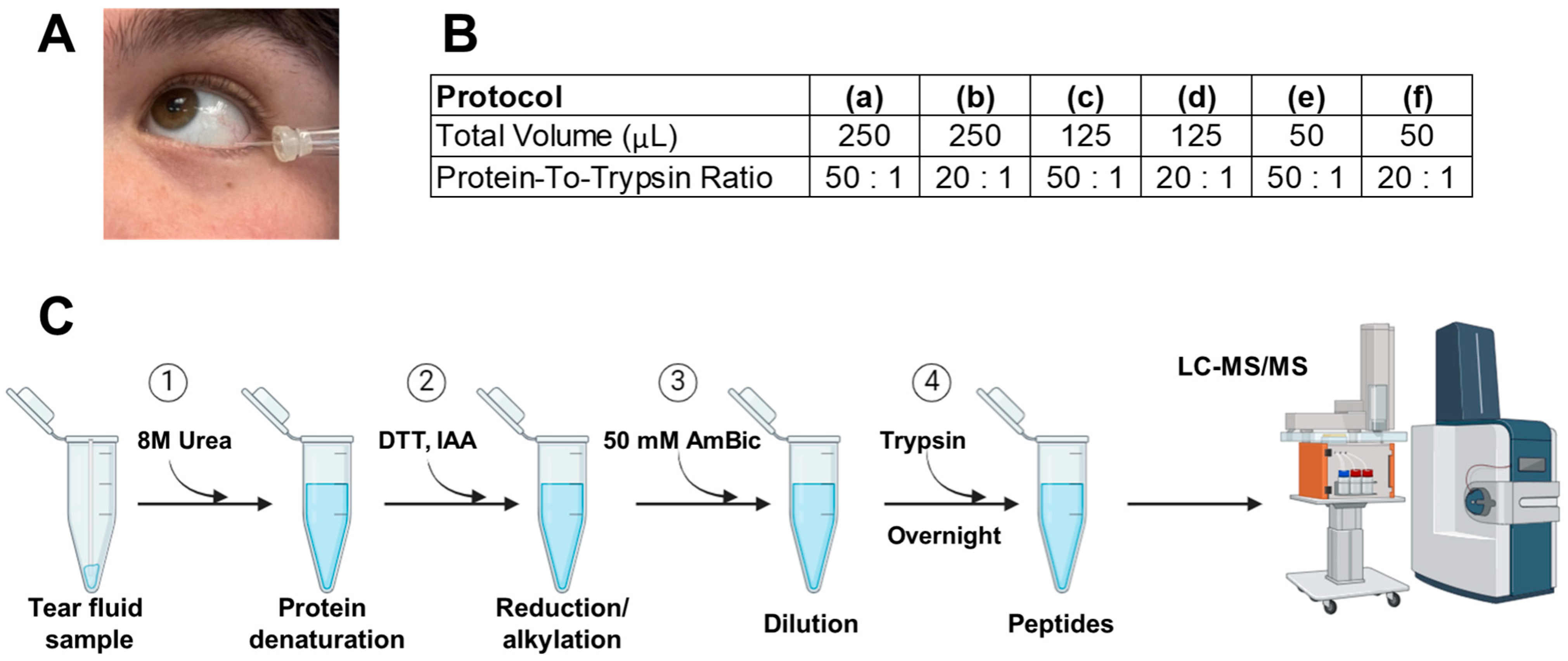 Precision in Tear Fluid Biomarker Discovery: Quantitative