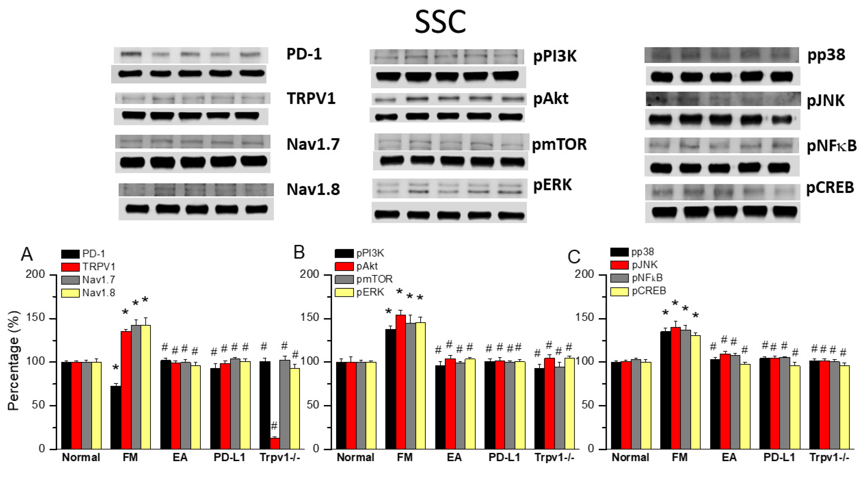 Biomedicines 13 00396 g005