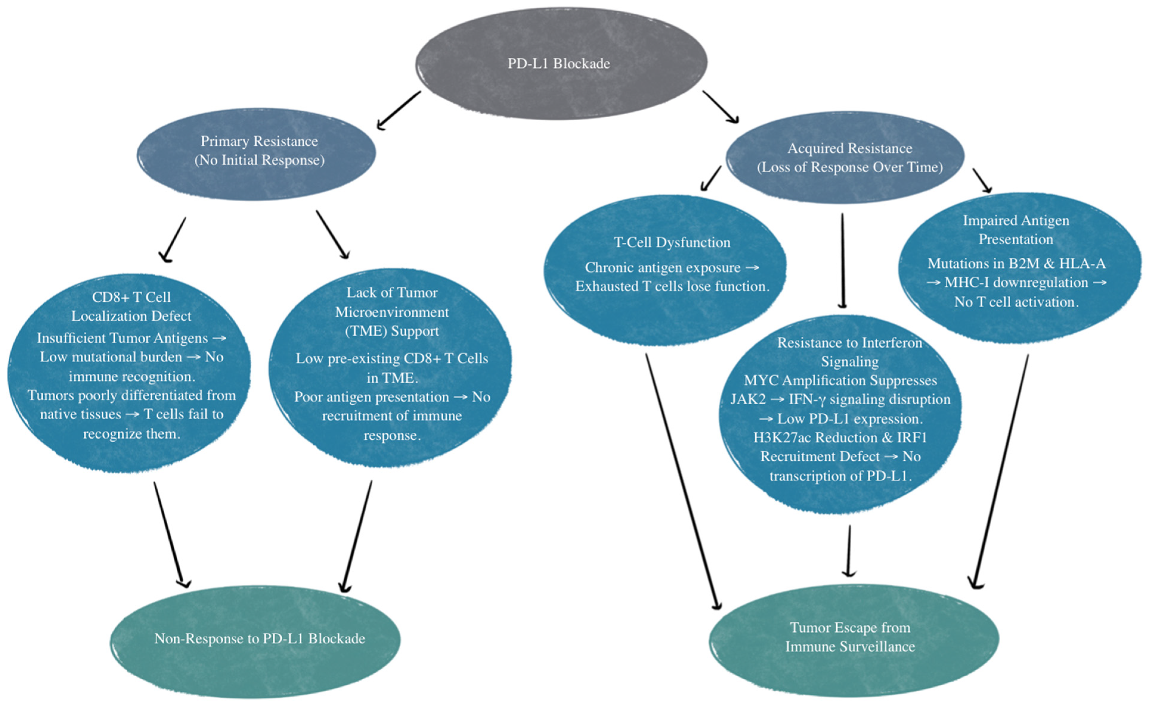 Biomedicines 13 00401 g003