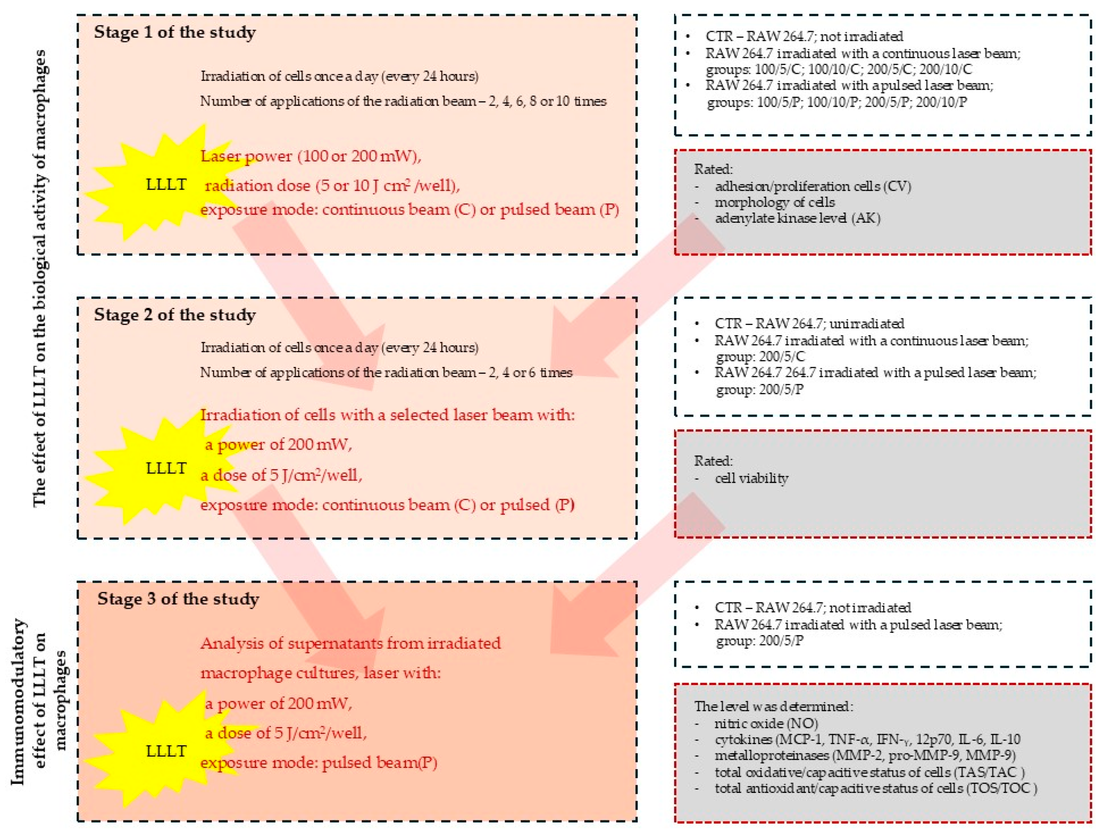 Biomedicines 13 00403 g001