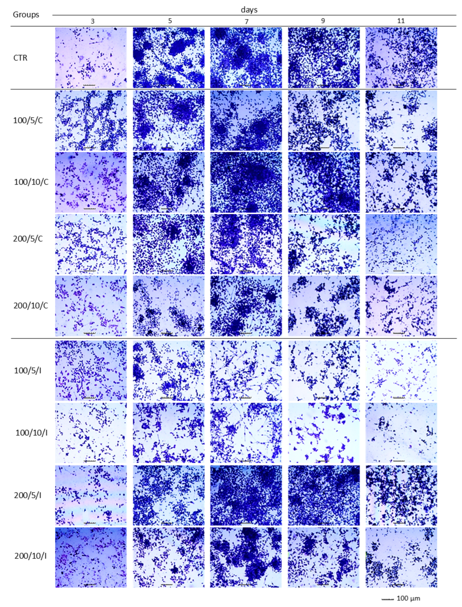 Biomedicines 13 00403 g003