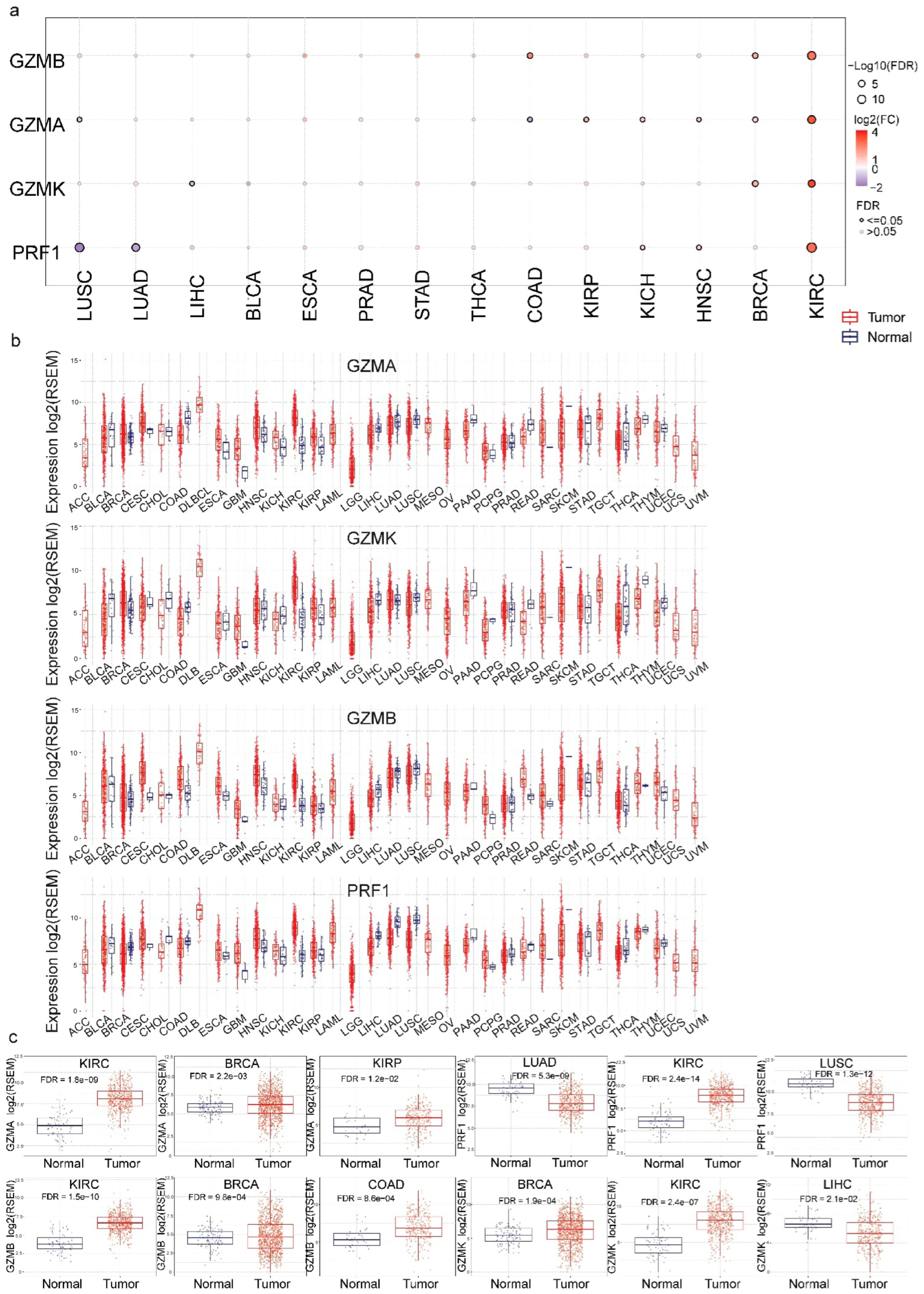 Biomedicines 13 00408 g001 Biomedicines 13 00408 g001