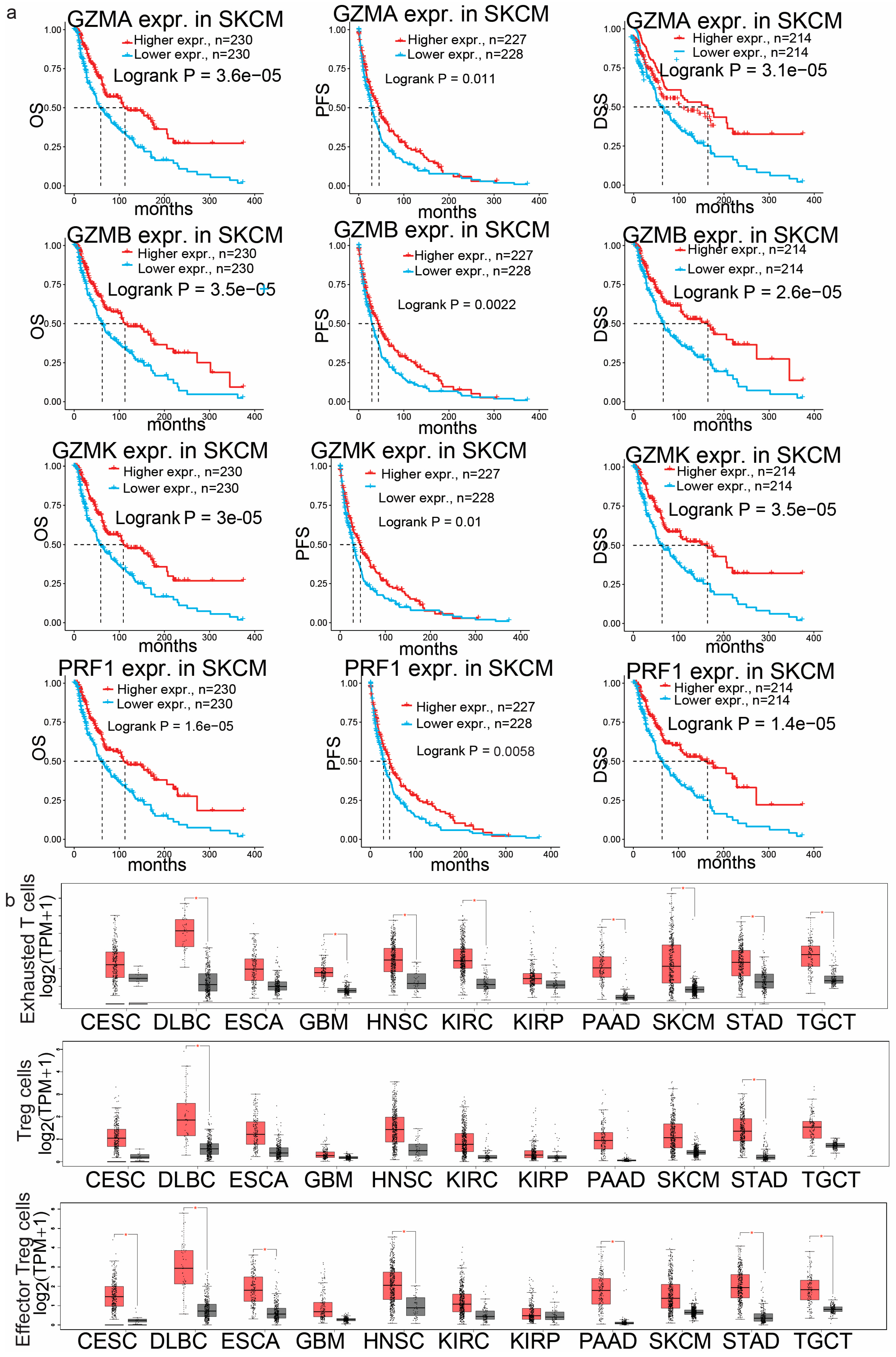 Biomedicines 13 00408 g002 Biomedicines 13 00408 g002