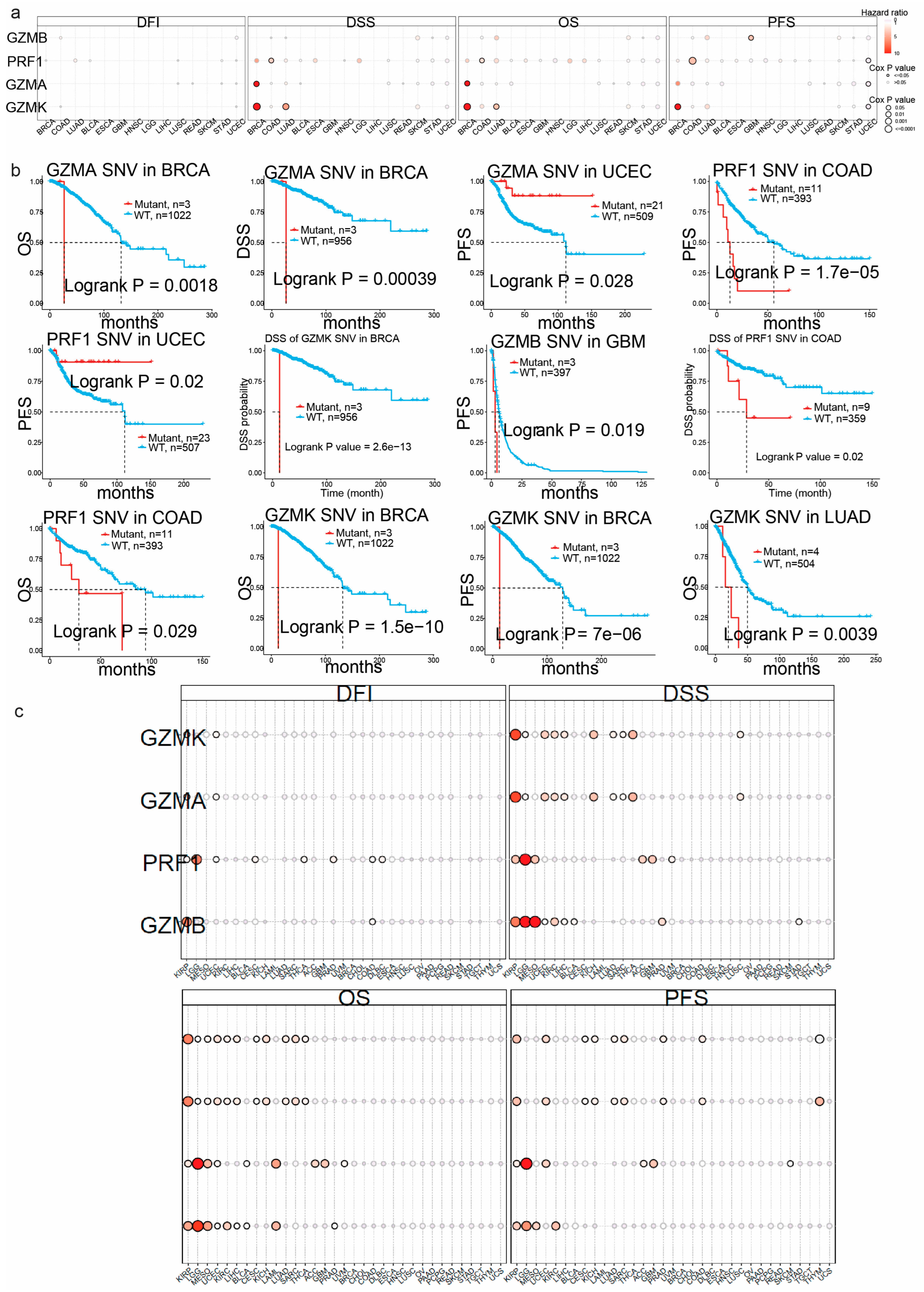 Biomedicines 13 00408 g005 Biomedicines 13 00408 g005