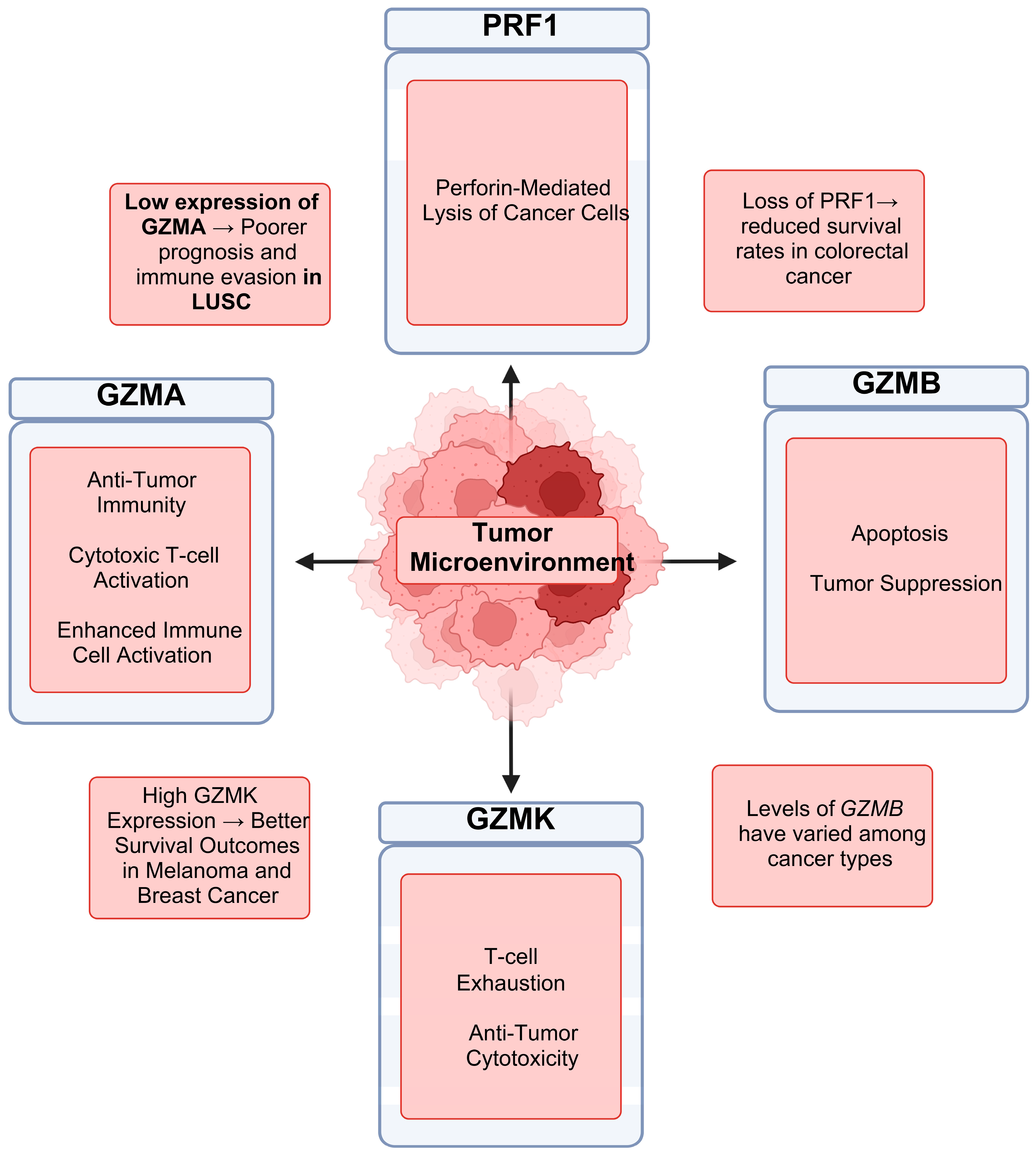 Biomedicines 13 00408 g008 Biomedicines 13 00408 g008