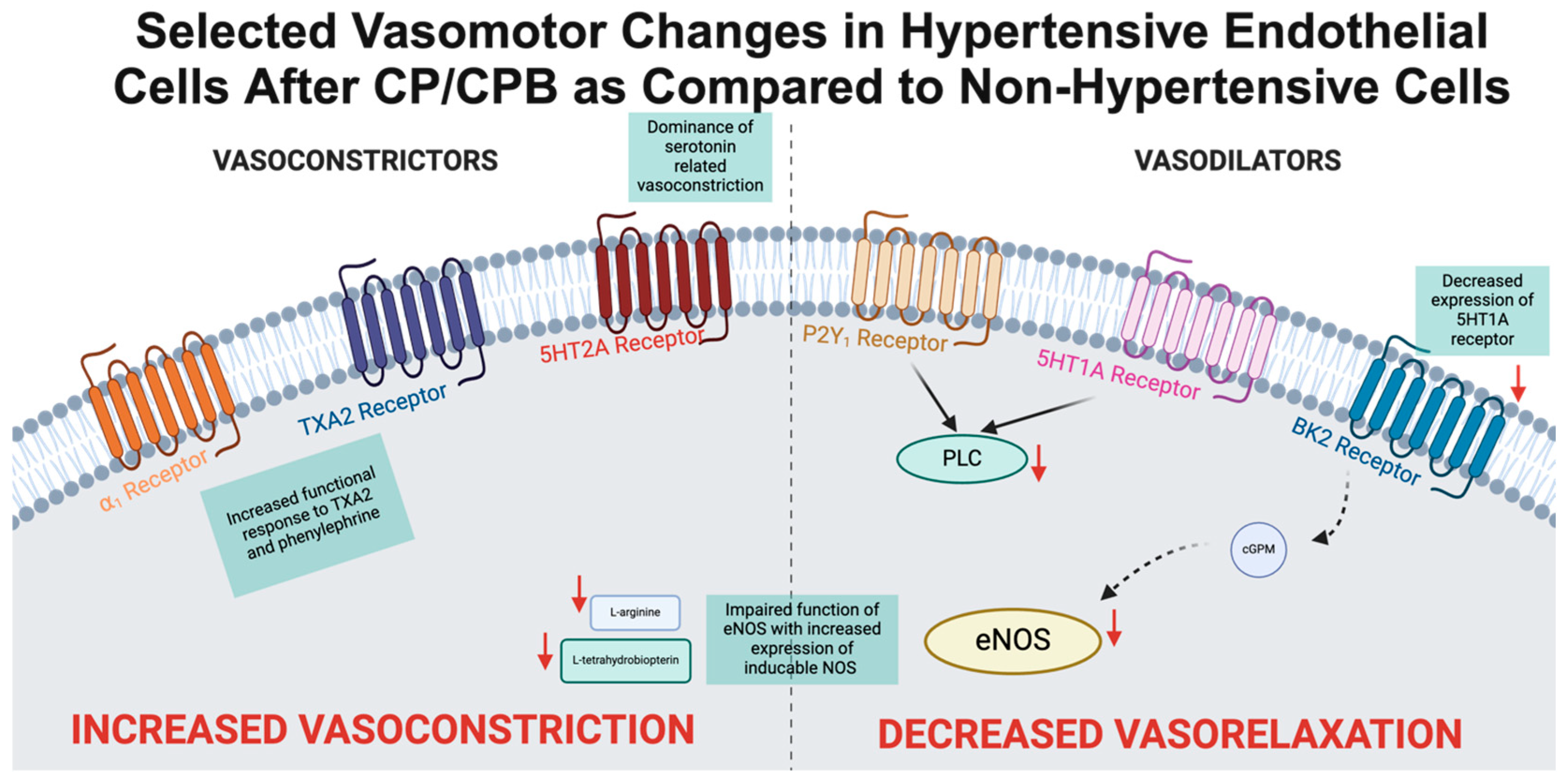 Biomedicines 13 00409 g002