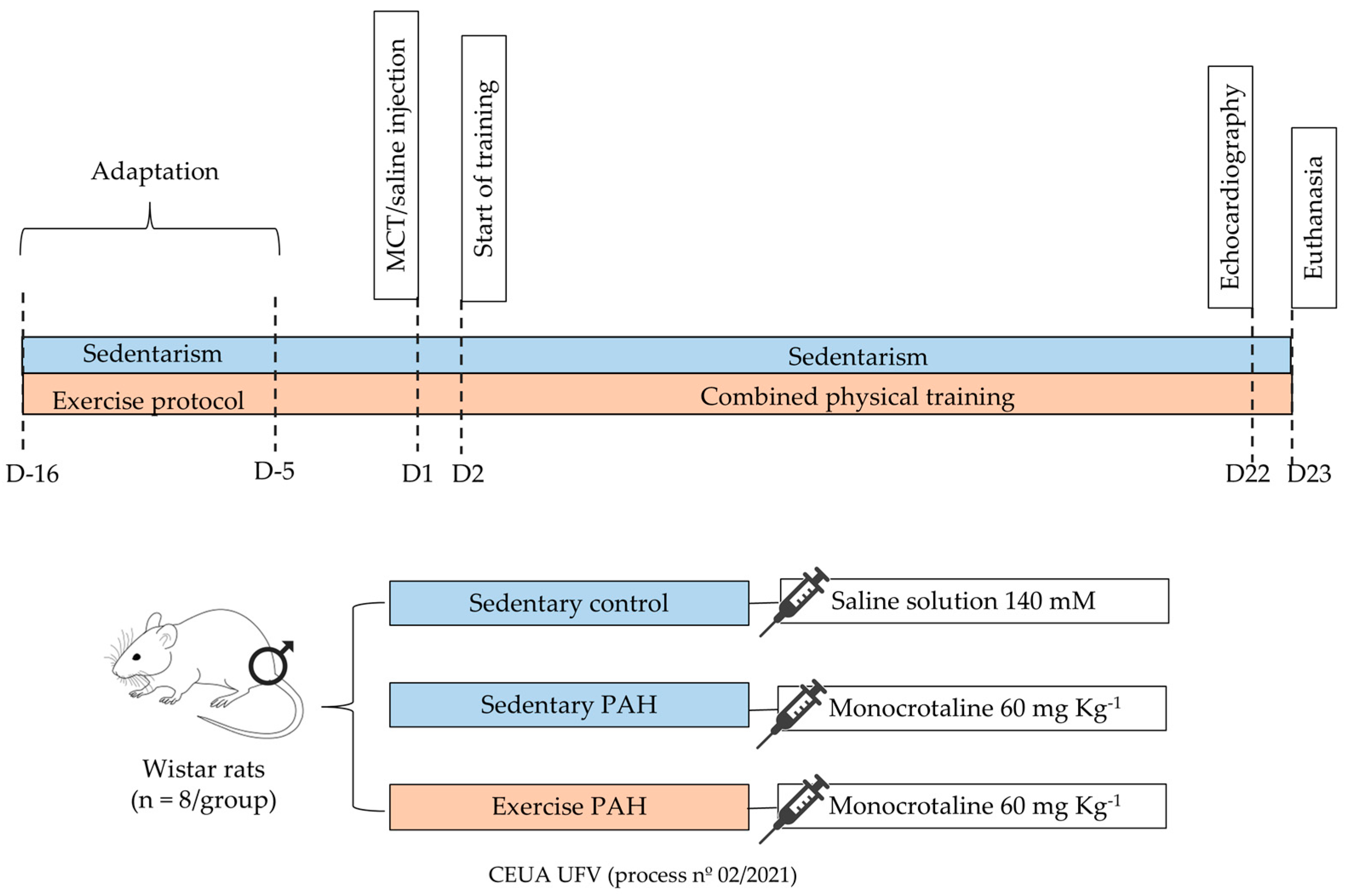 Biomedicines 13 00410 g001