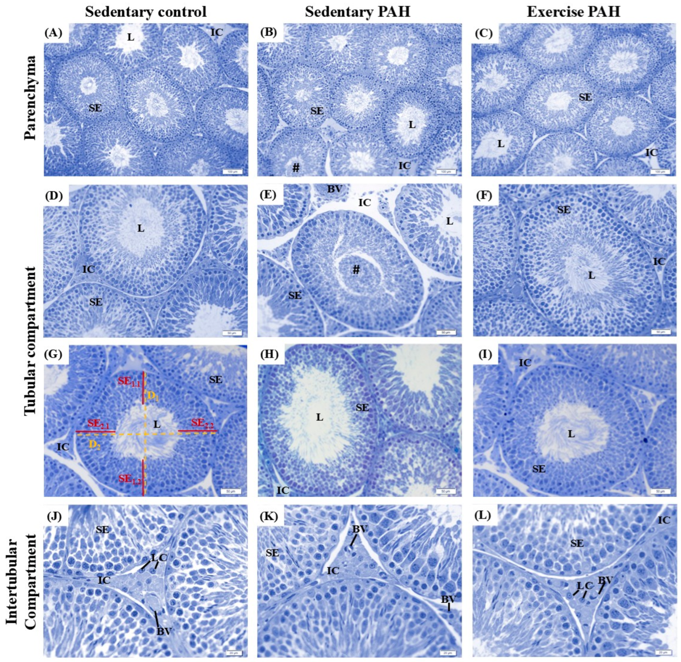 Biomedicines 13 00410 g002