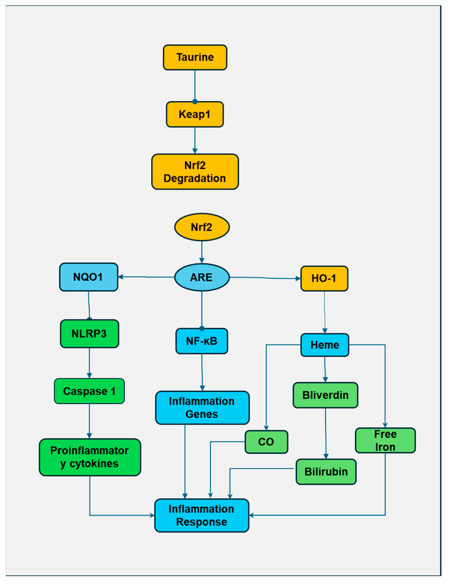 Biomedicines 13 00413 g003 Biomedicines 13 00413 g003