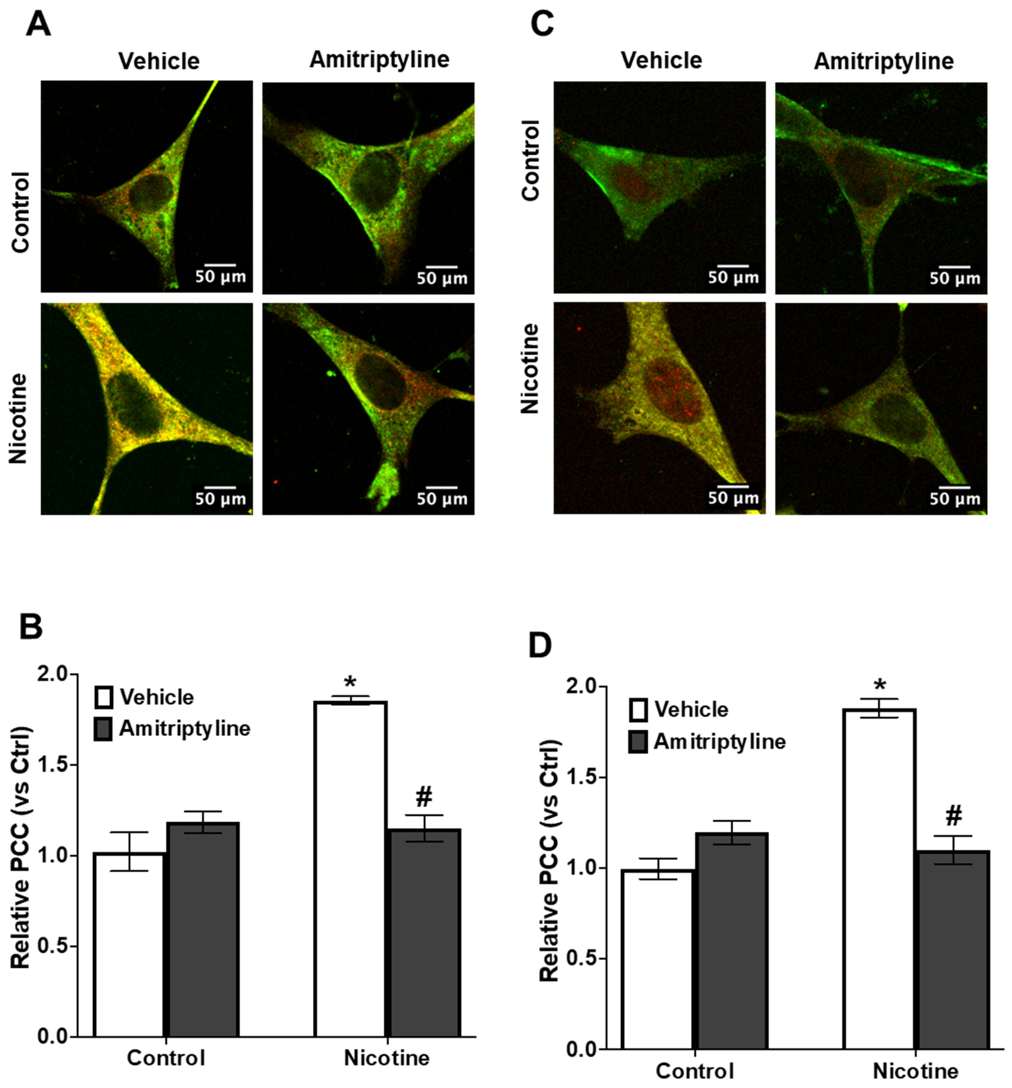 Biomedicines 13 00416 g003