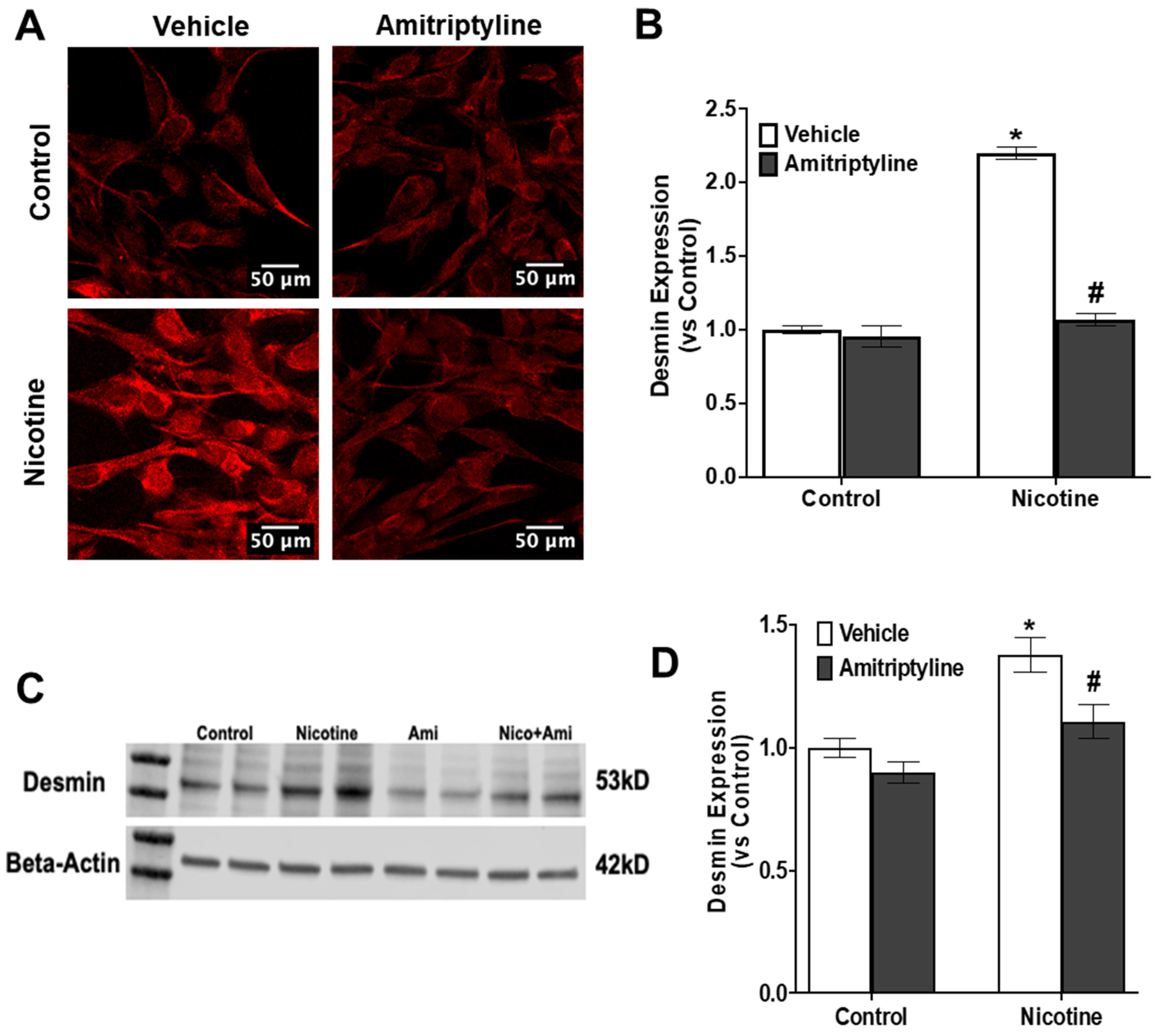 Biomedicines 13 00416 g006