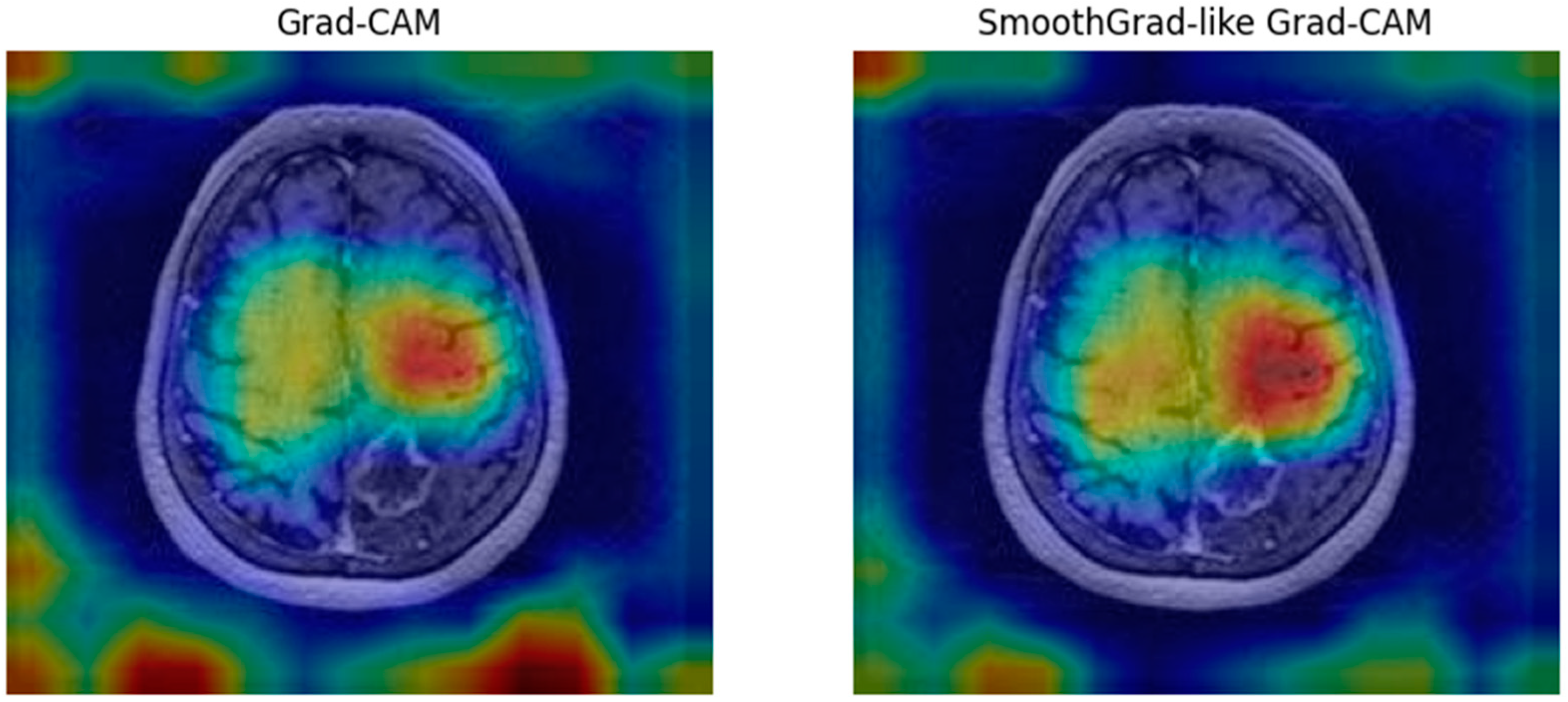 Biomedicines 13 00423 g008