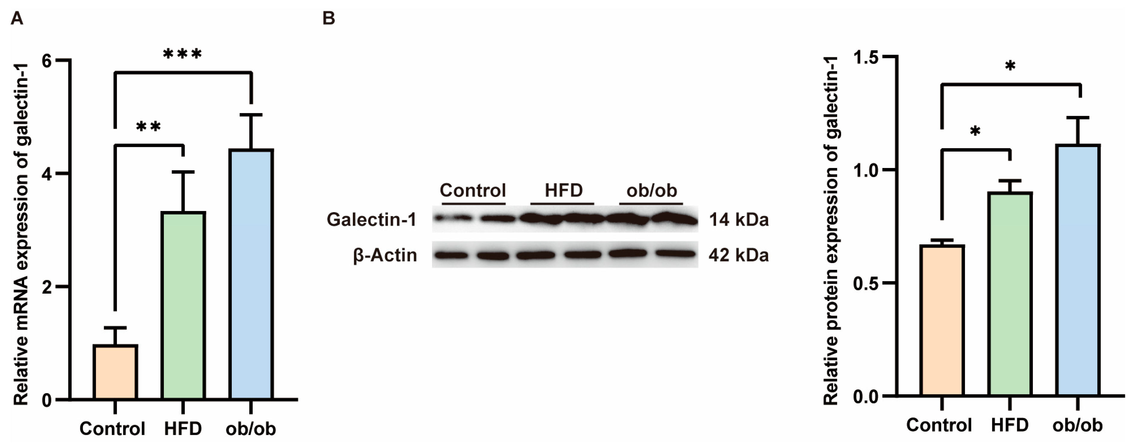 Biomedicines 13 00425 g005
