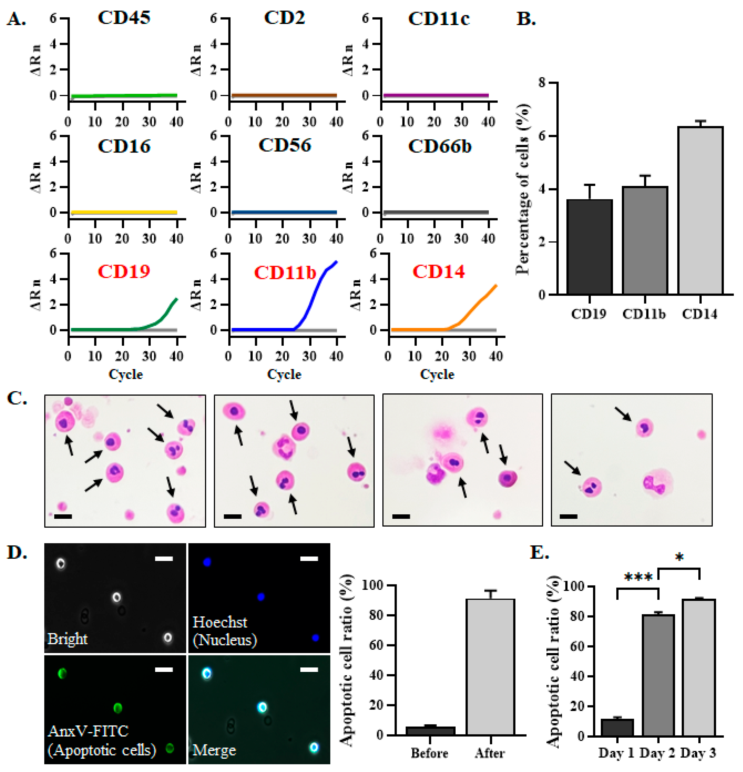 Biomedicines 13 00431 g002