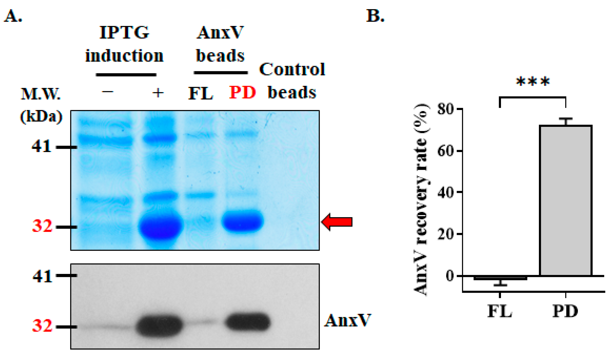 Biomedicines 13 00431 g003