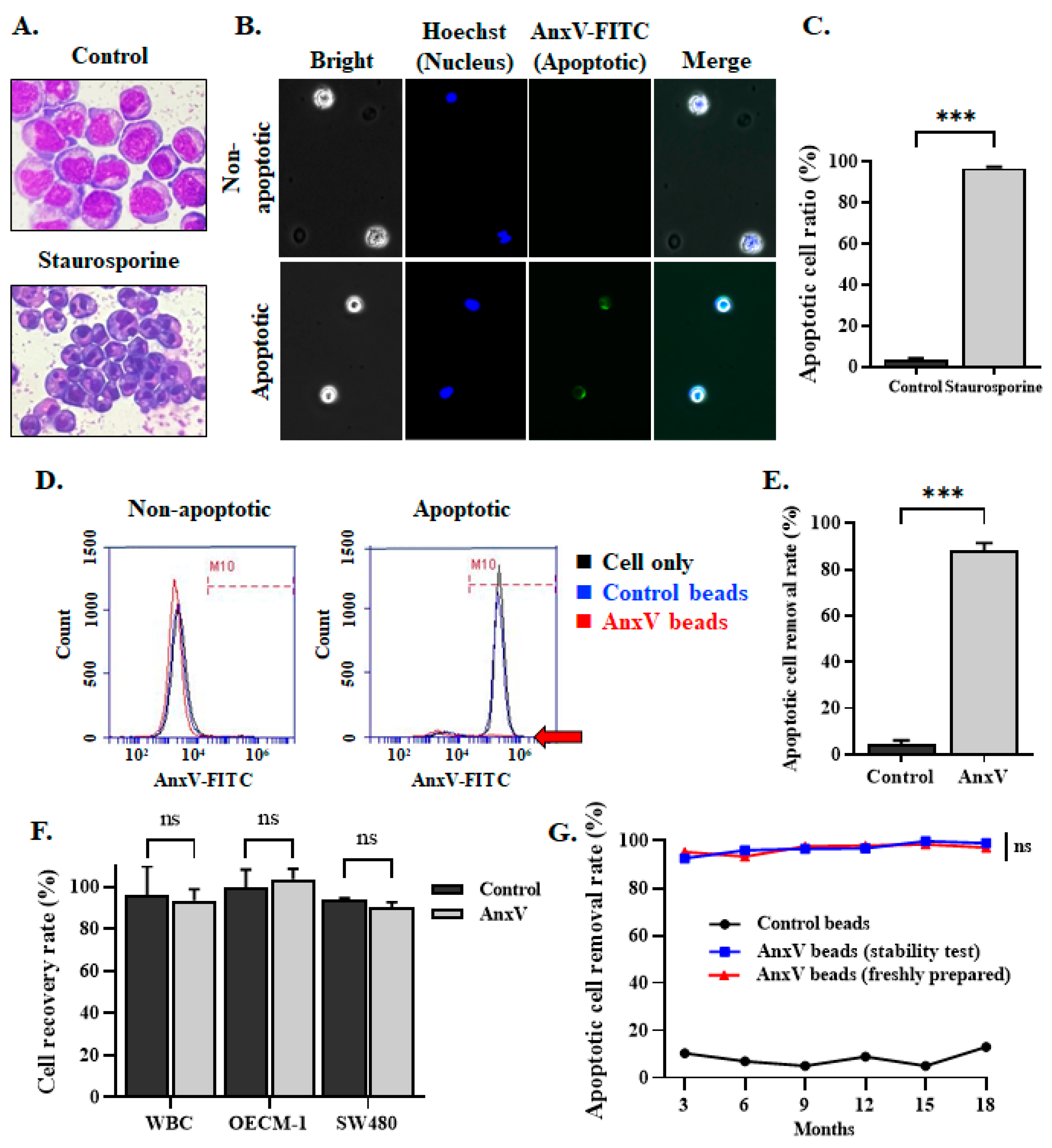 Biomedicines 13 00431 g004