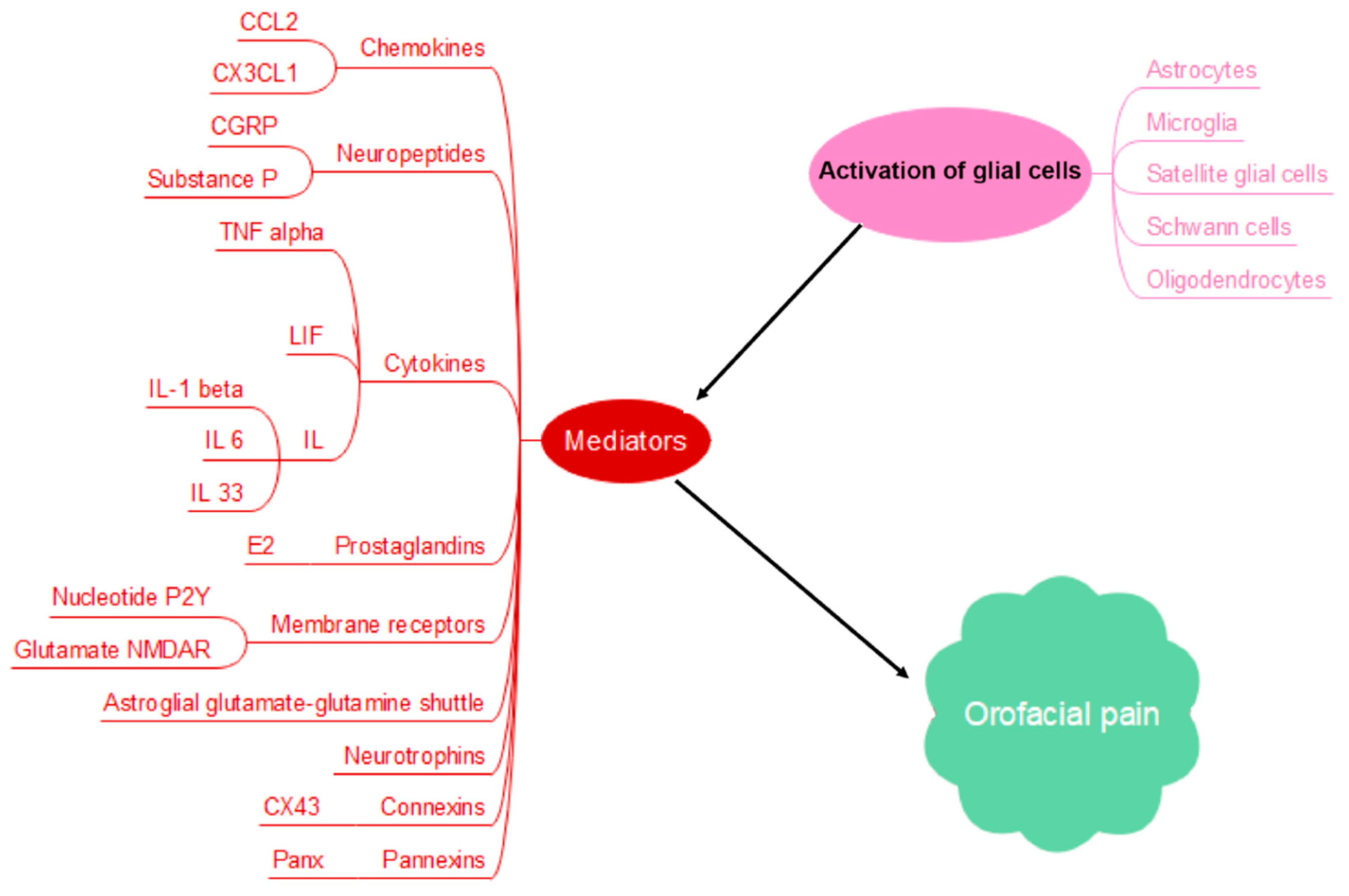 Biomedicines 13 00434 g001 Biomedicines 13 00434 g001