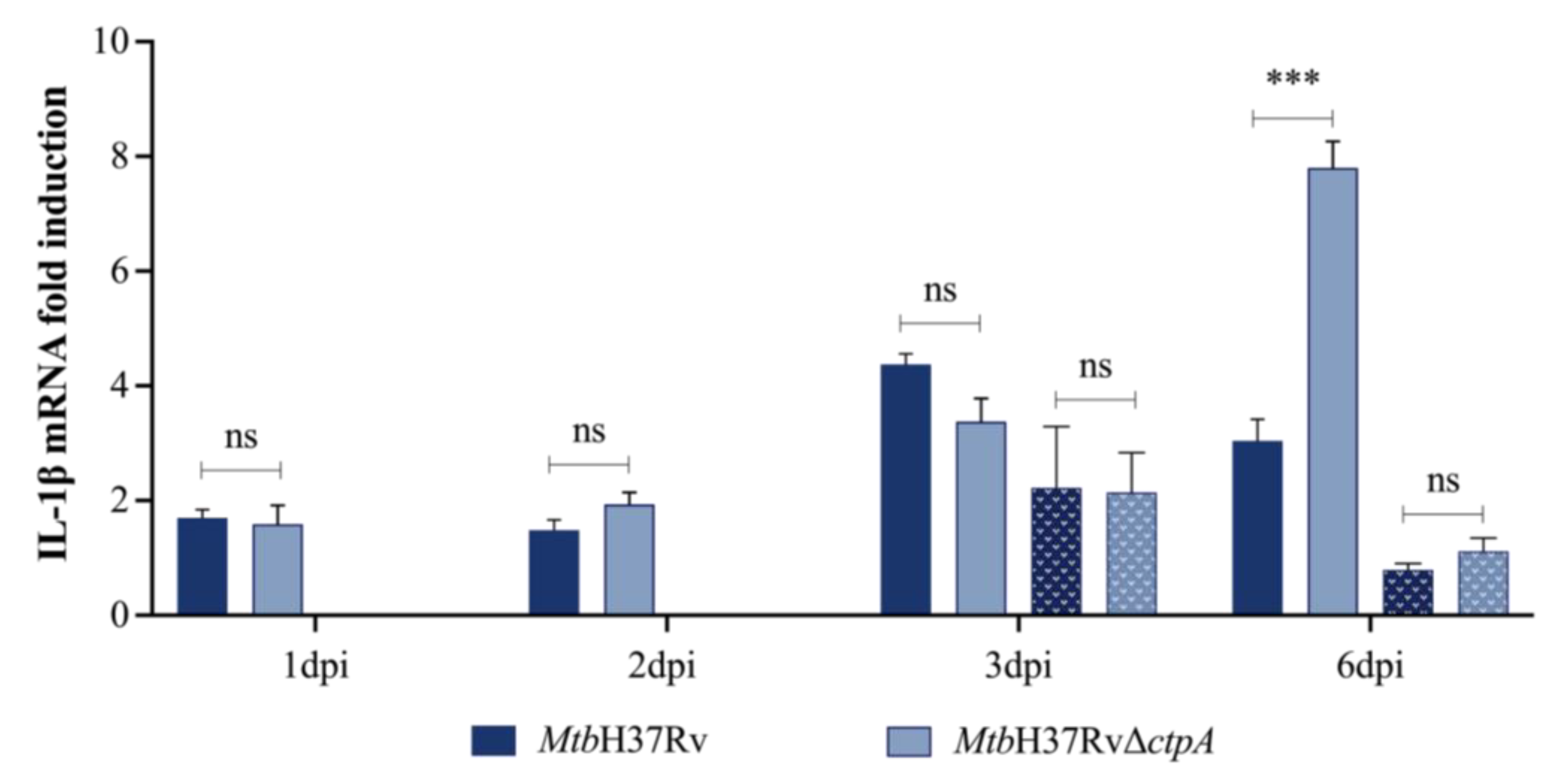 Biomedicines 13 00439 g004