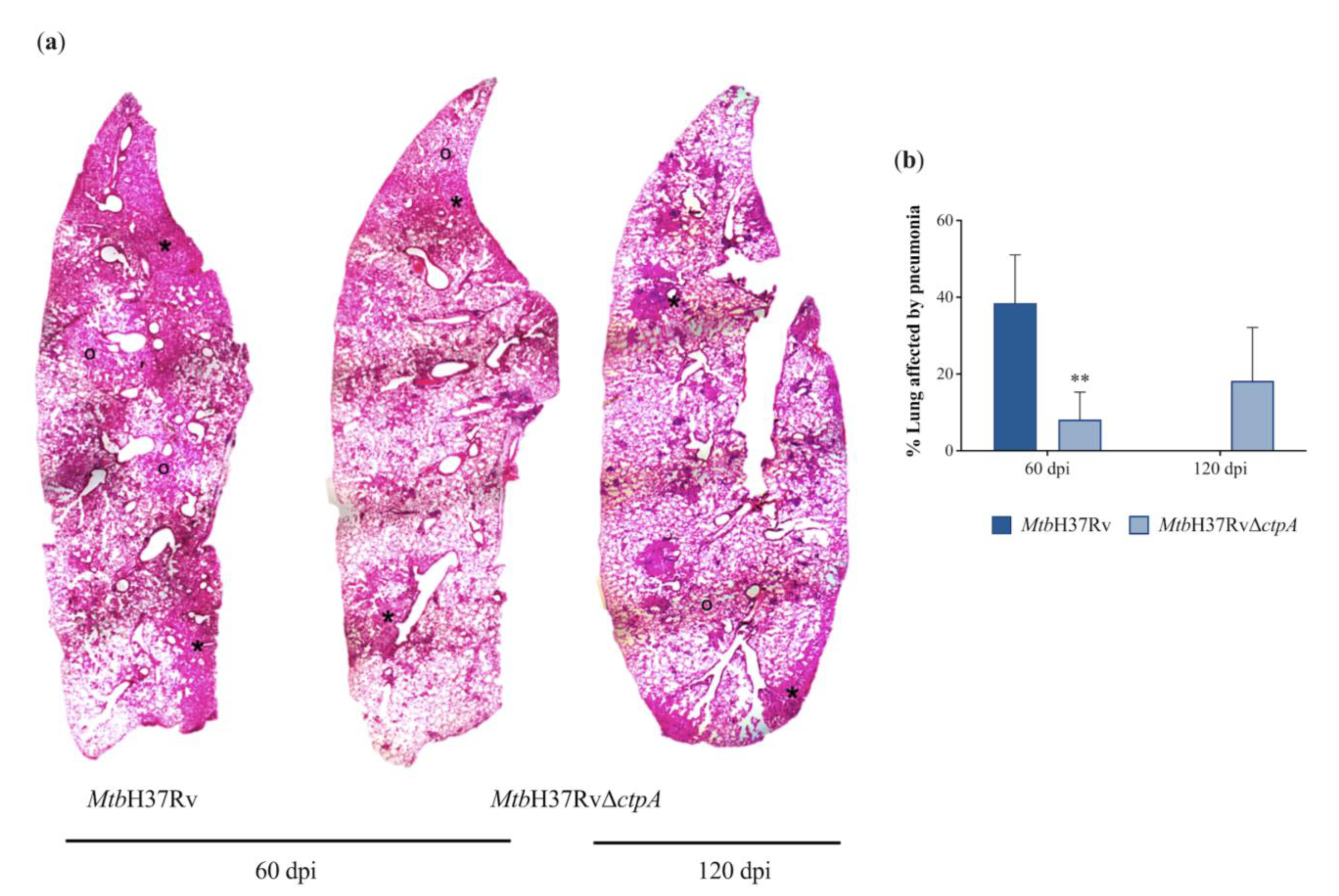 Biomedicines 13 00439 g010
