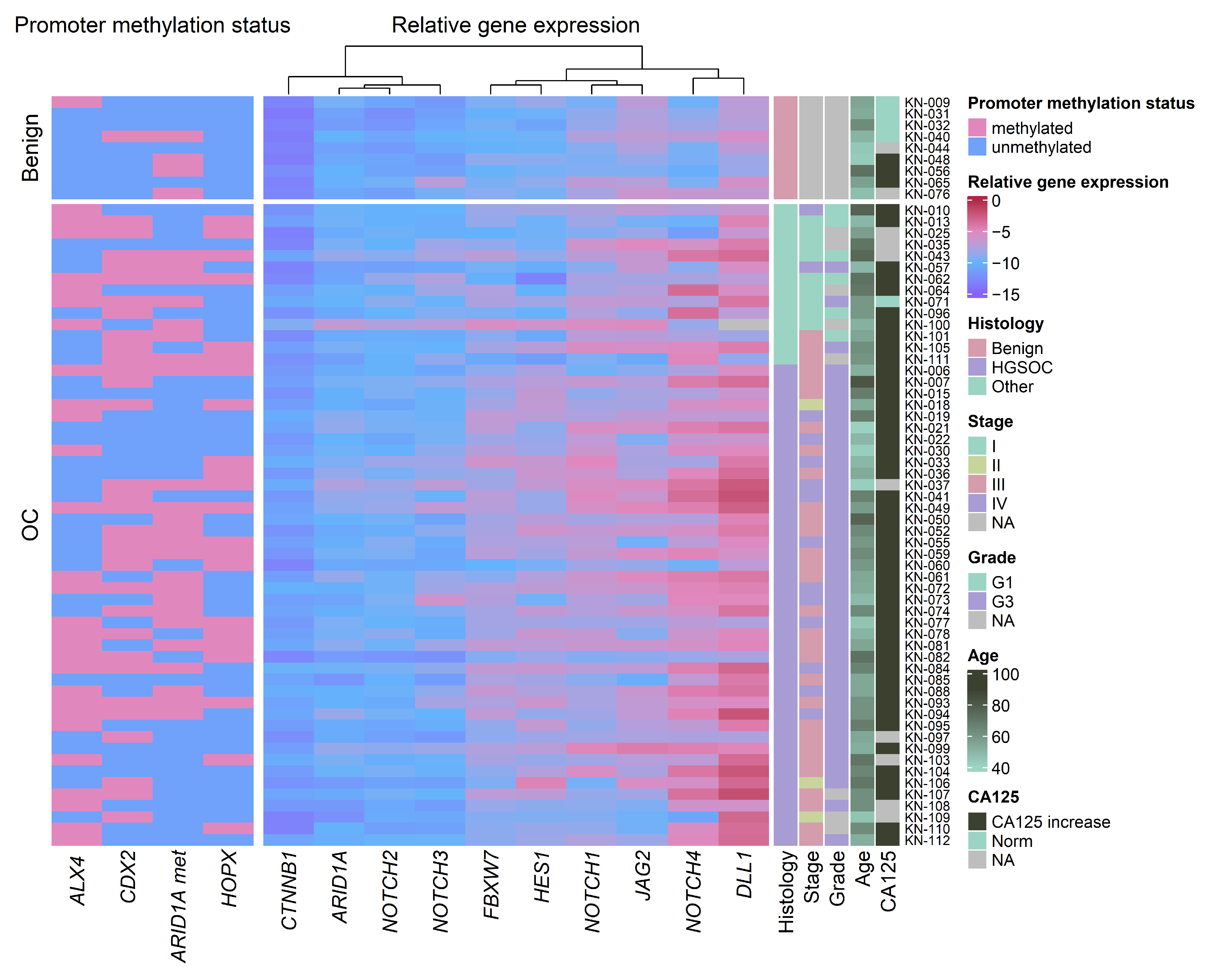 Biomedicines 13 00441 g001