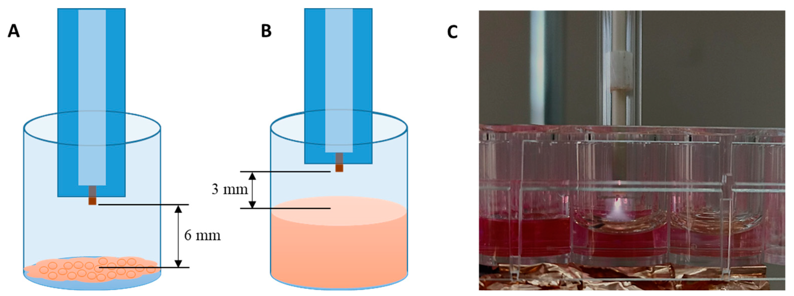 Biomedicines 13 00443 g001