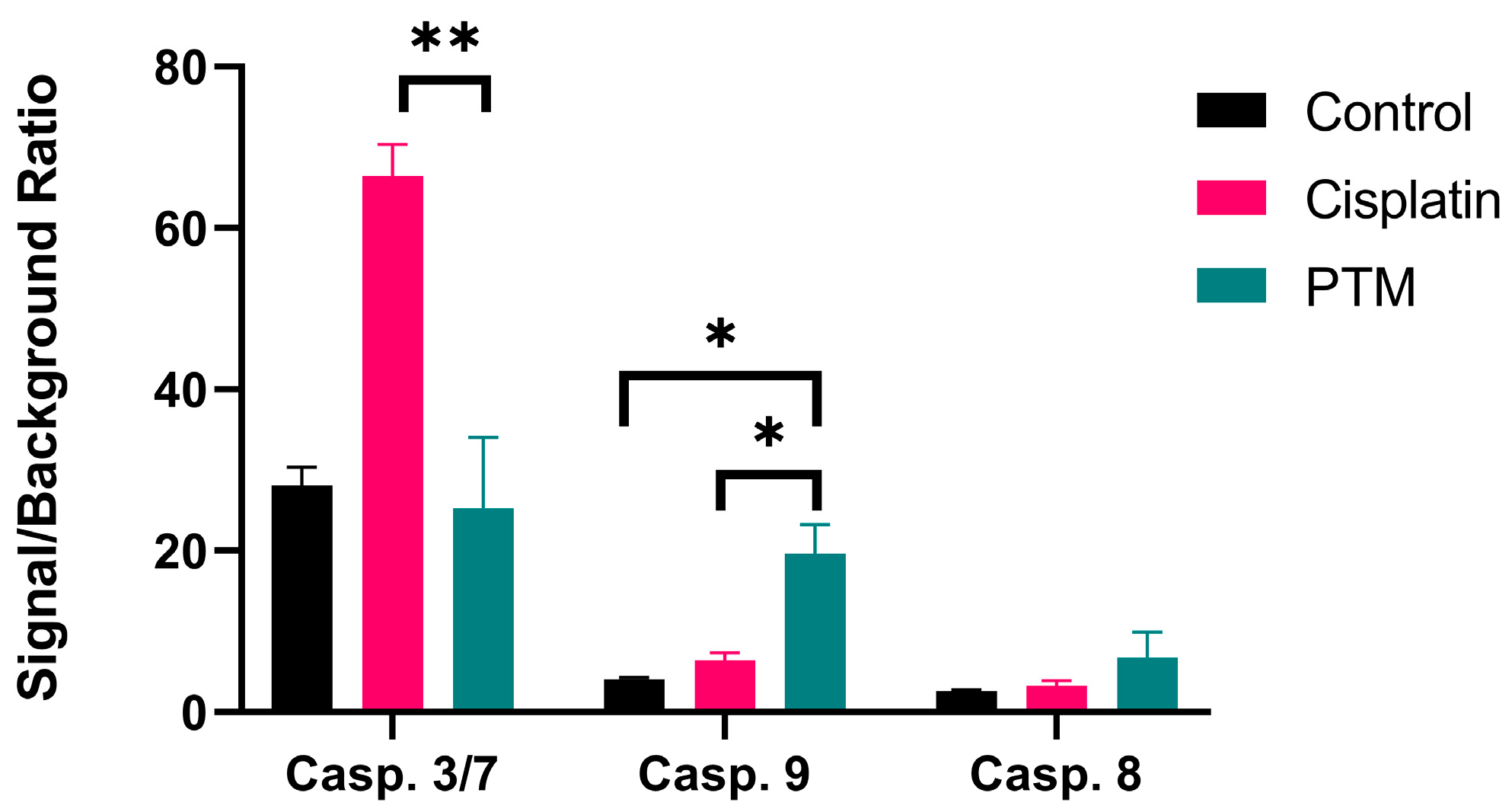 Biomedicines 13 00443 g004