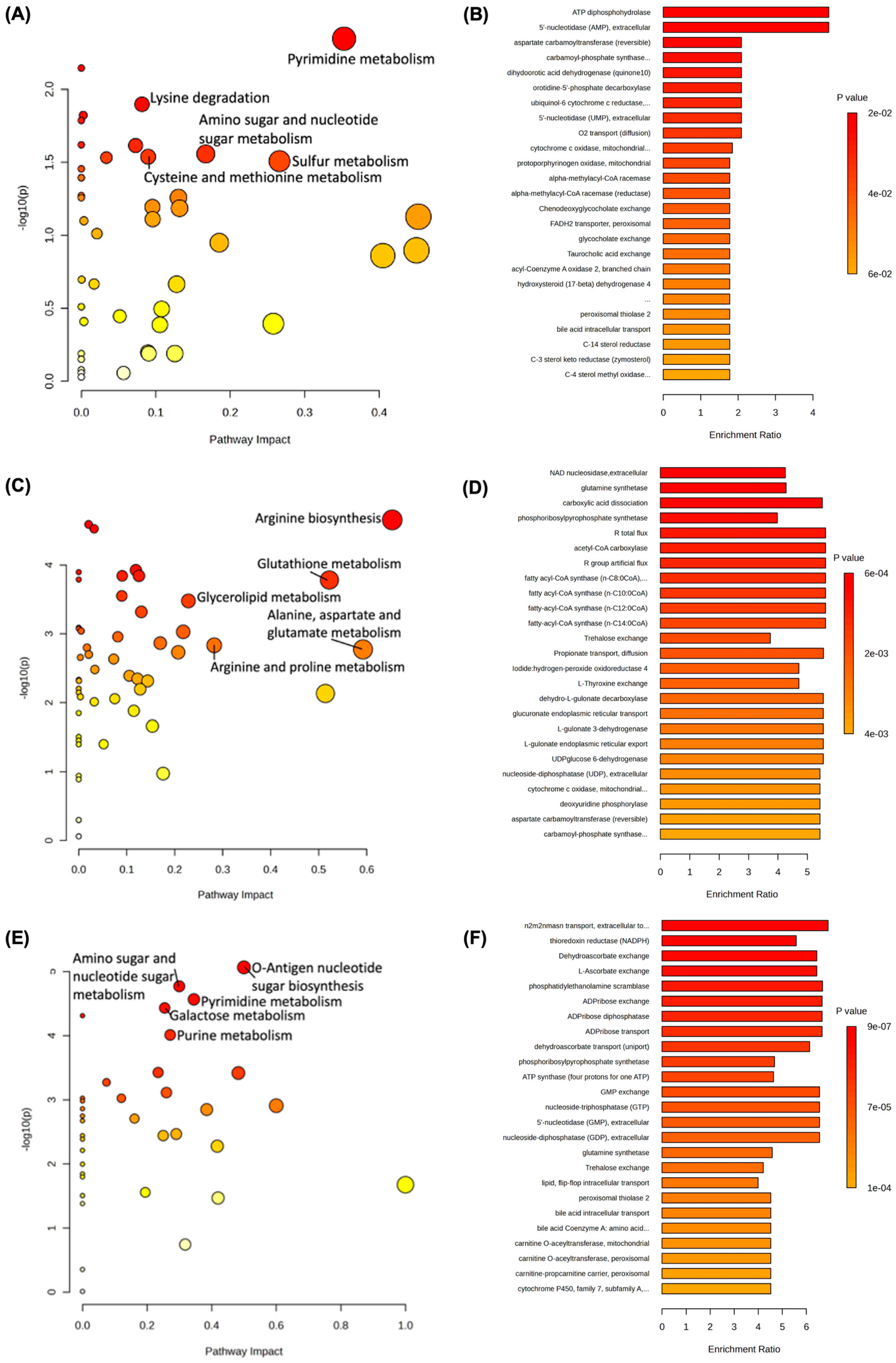 Biomedicines 13 00446 g005