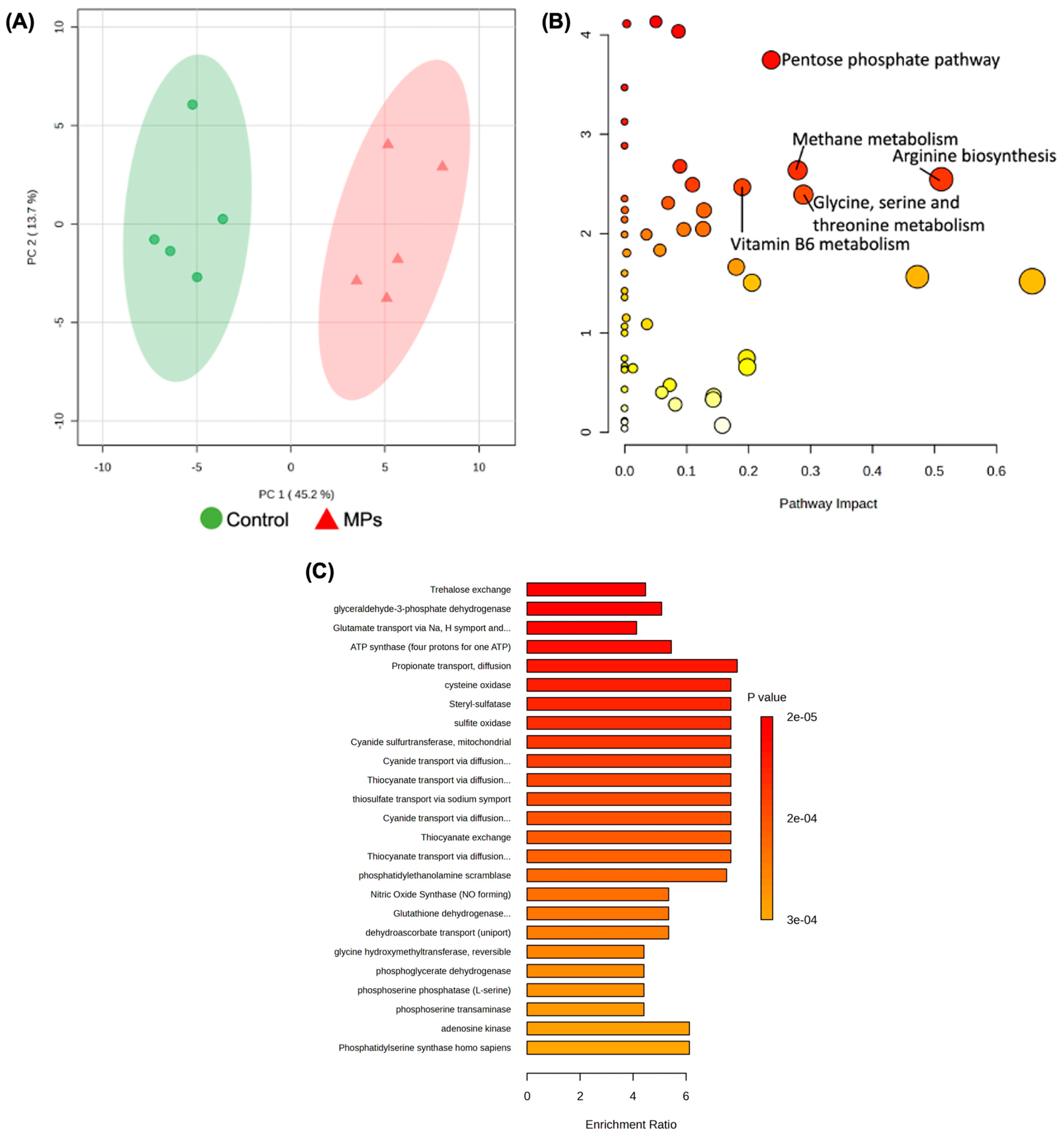 Biomedicines 13 00446 g007
