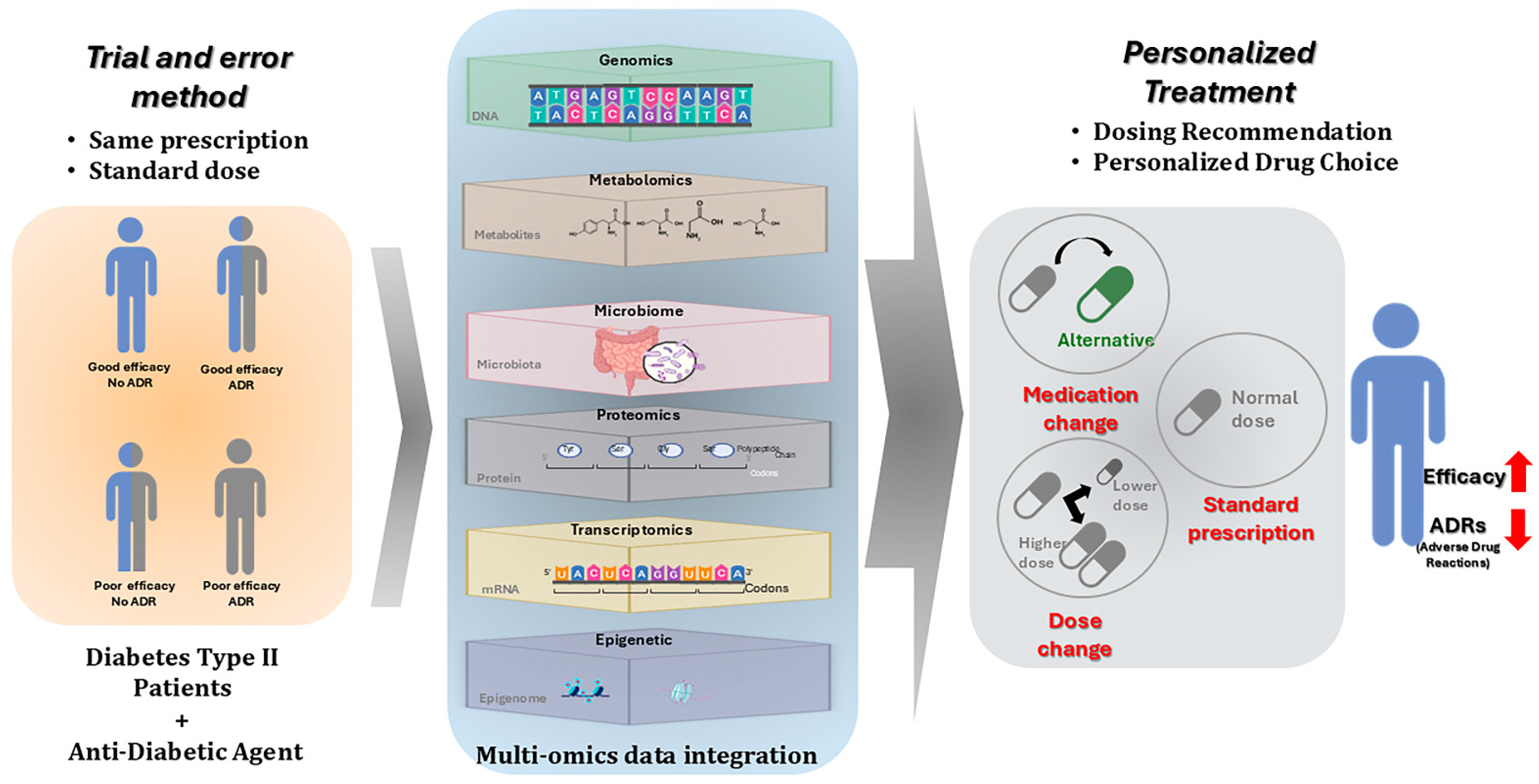 Biomedicines 13 00447 g001