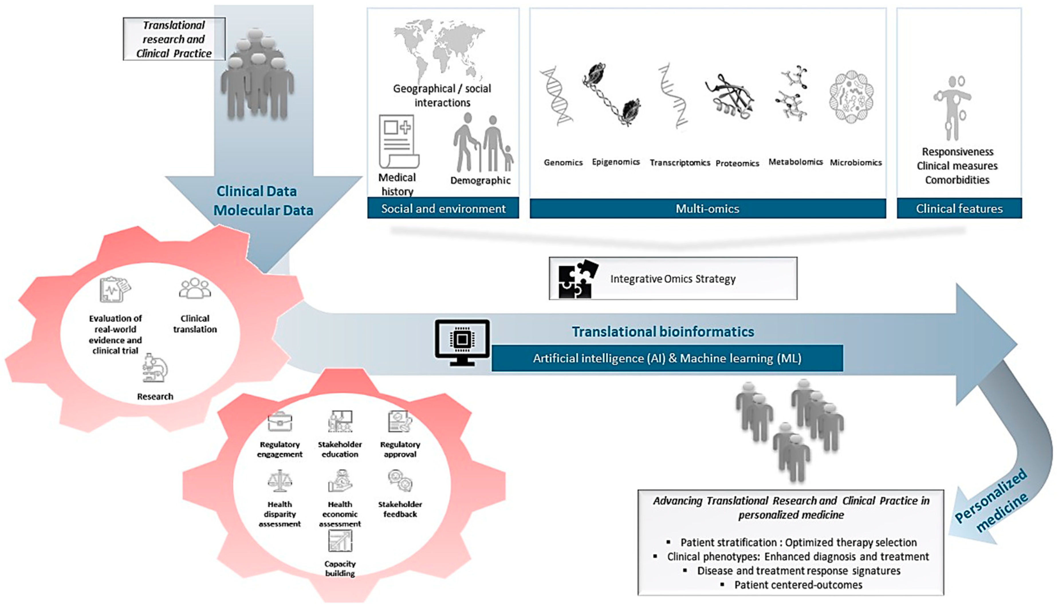 Biomedicines 13 00447 g002