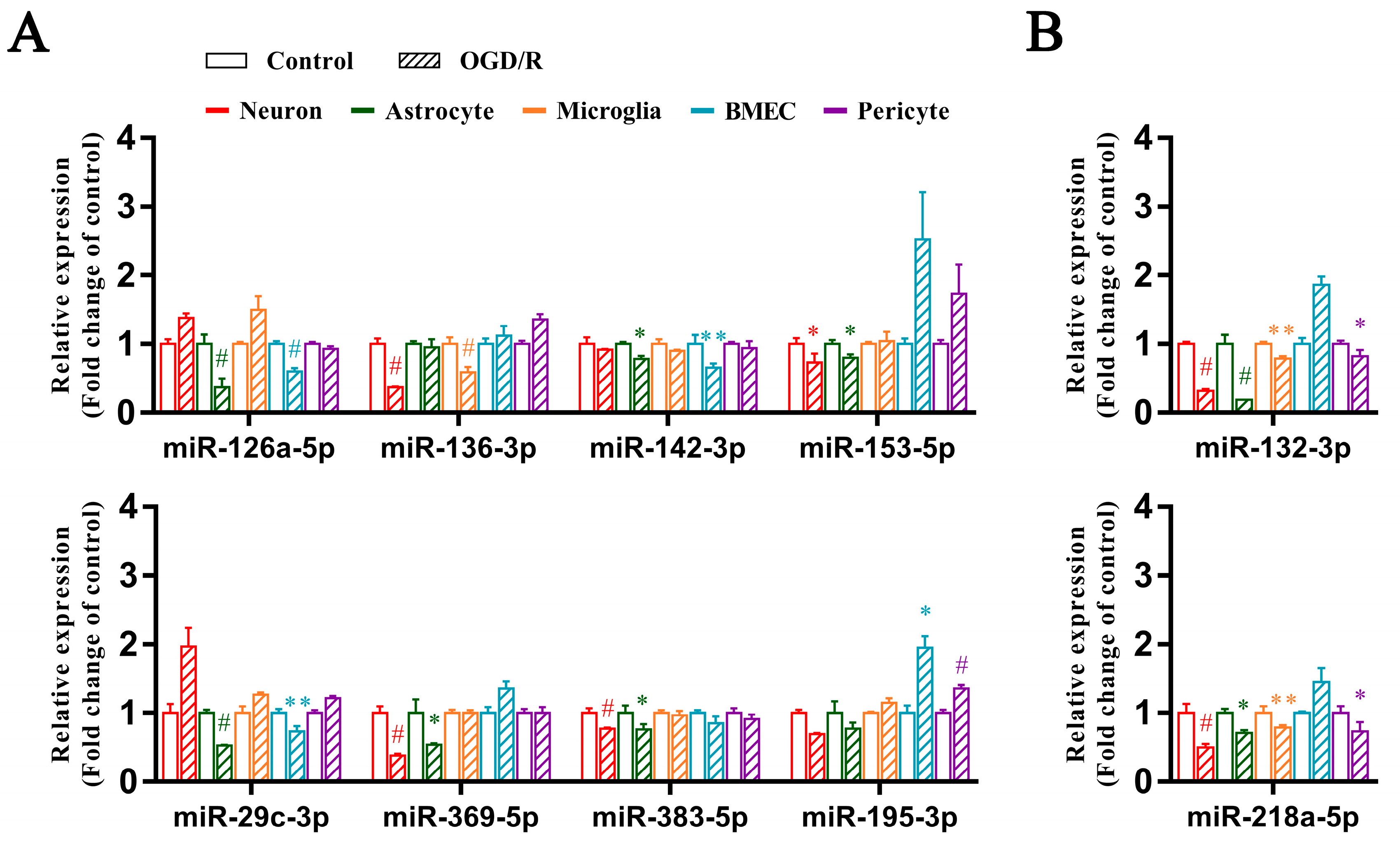 Biomedicines 13 00449 g004