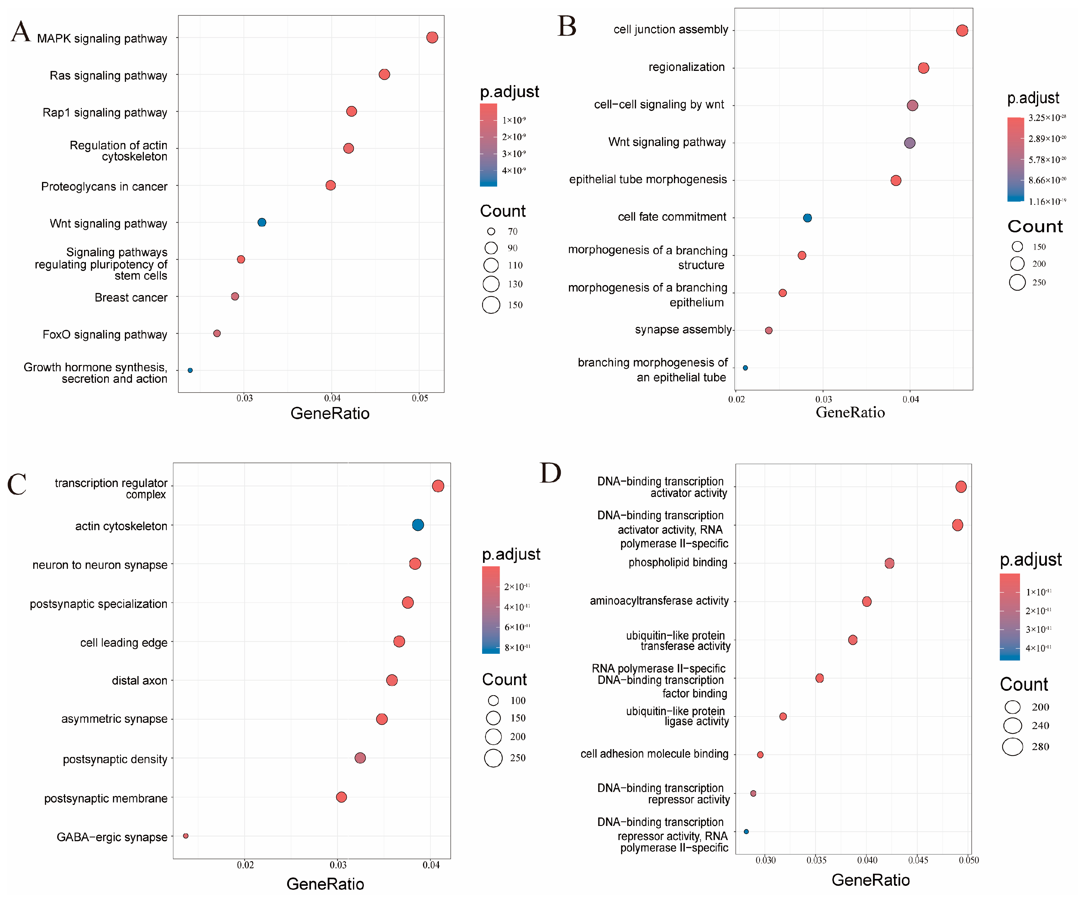Biomedicines 13 00449 g005