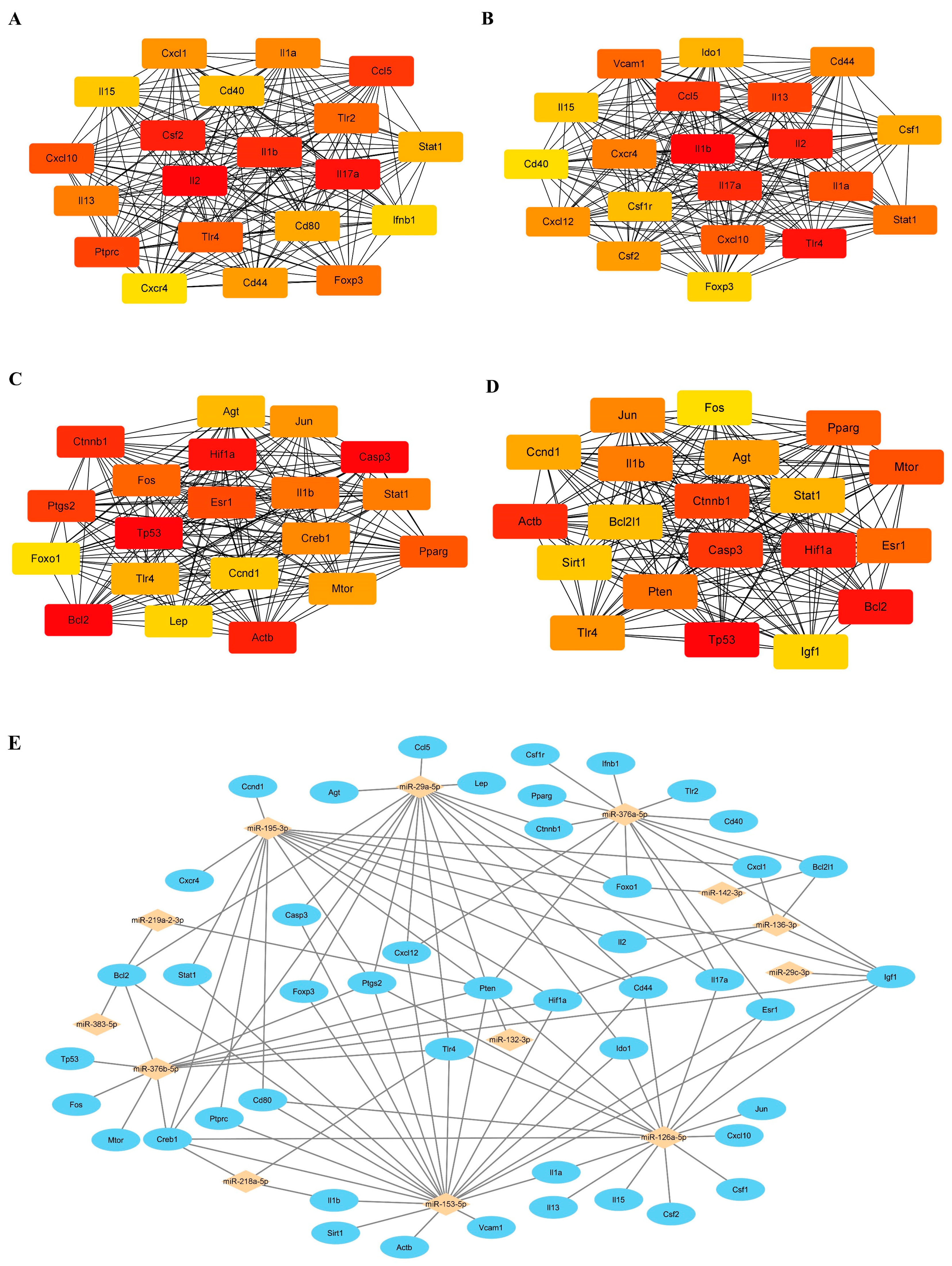 Biomedicines 13 00449 g006