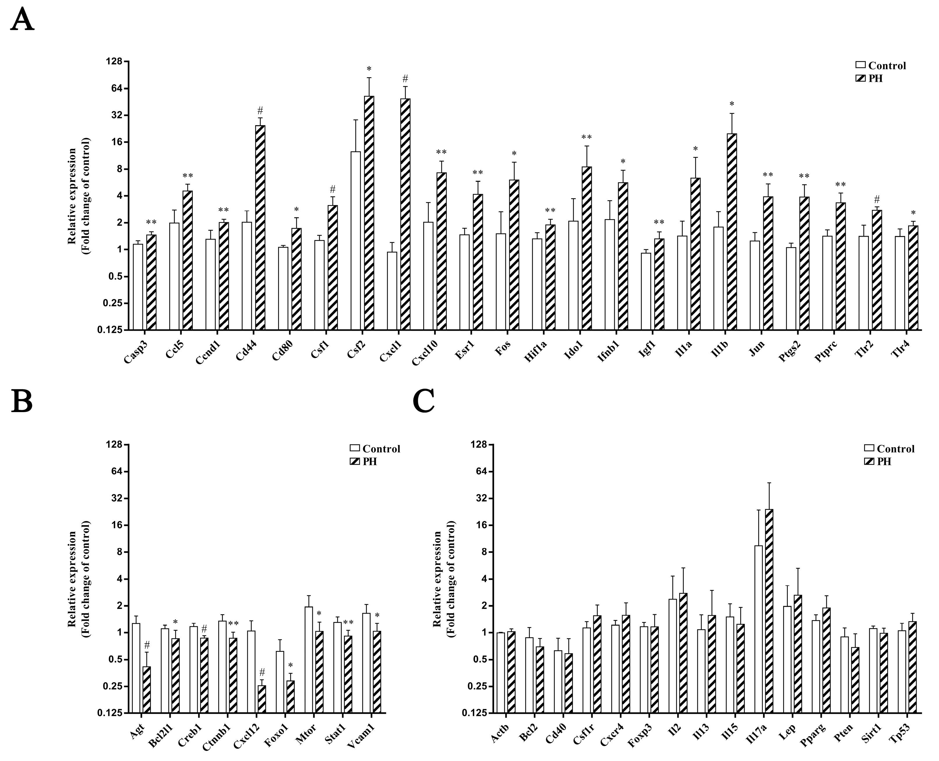 Biomedicines 13 00449 g007