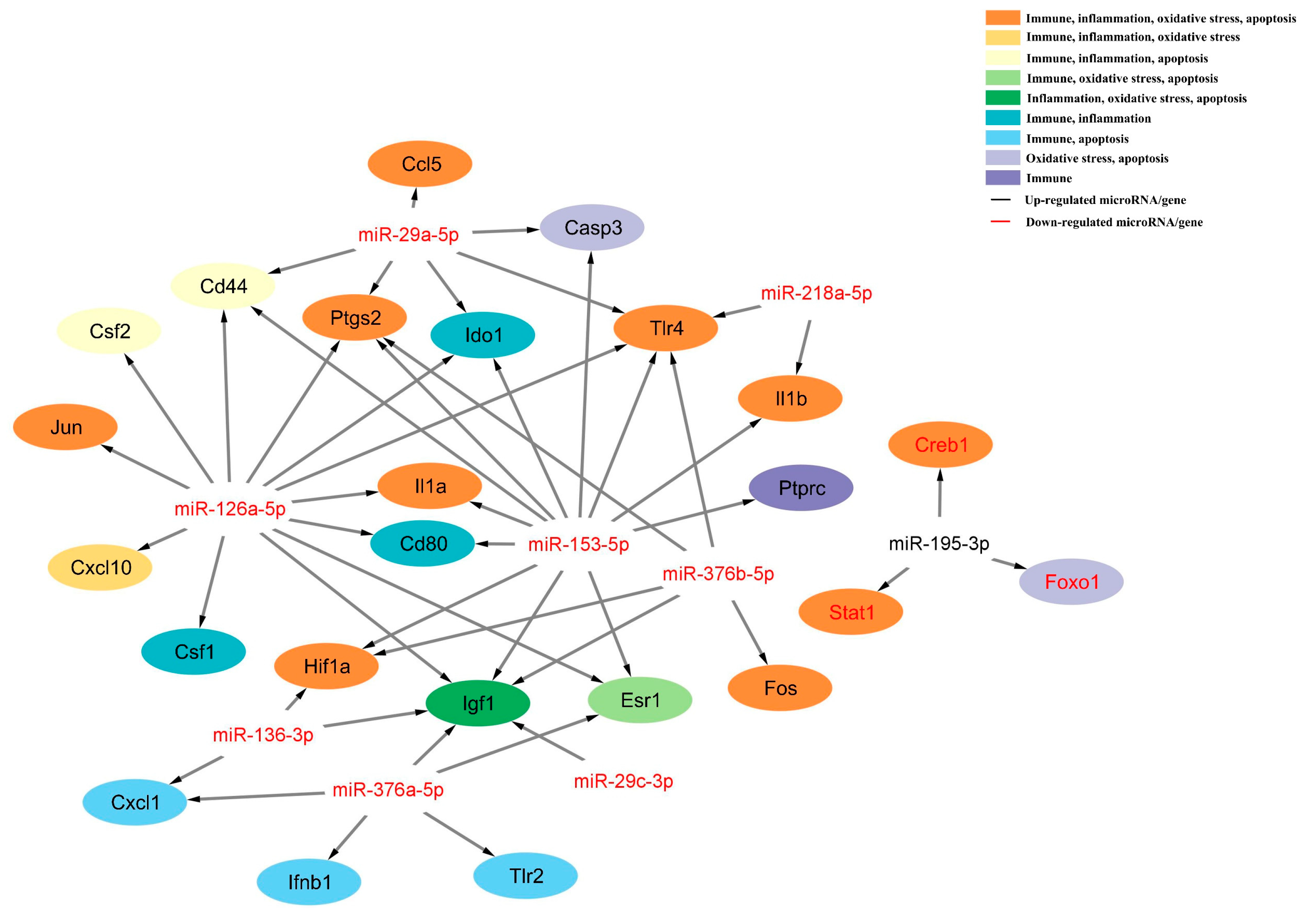 Biomedicines 13 00449 g008