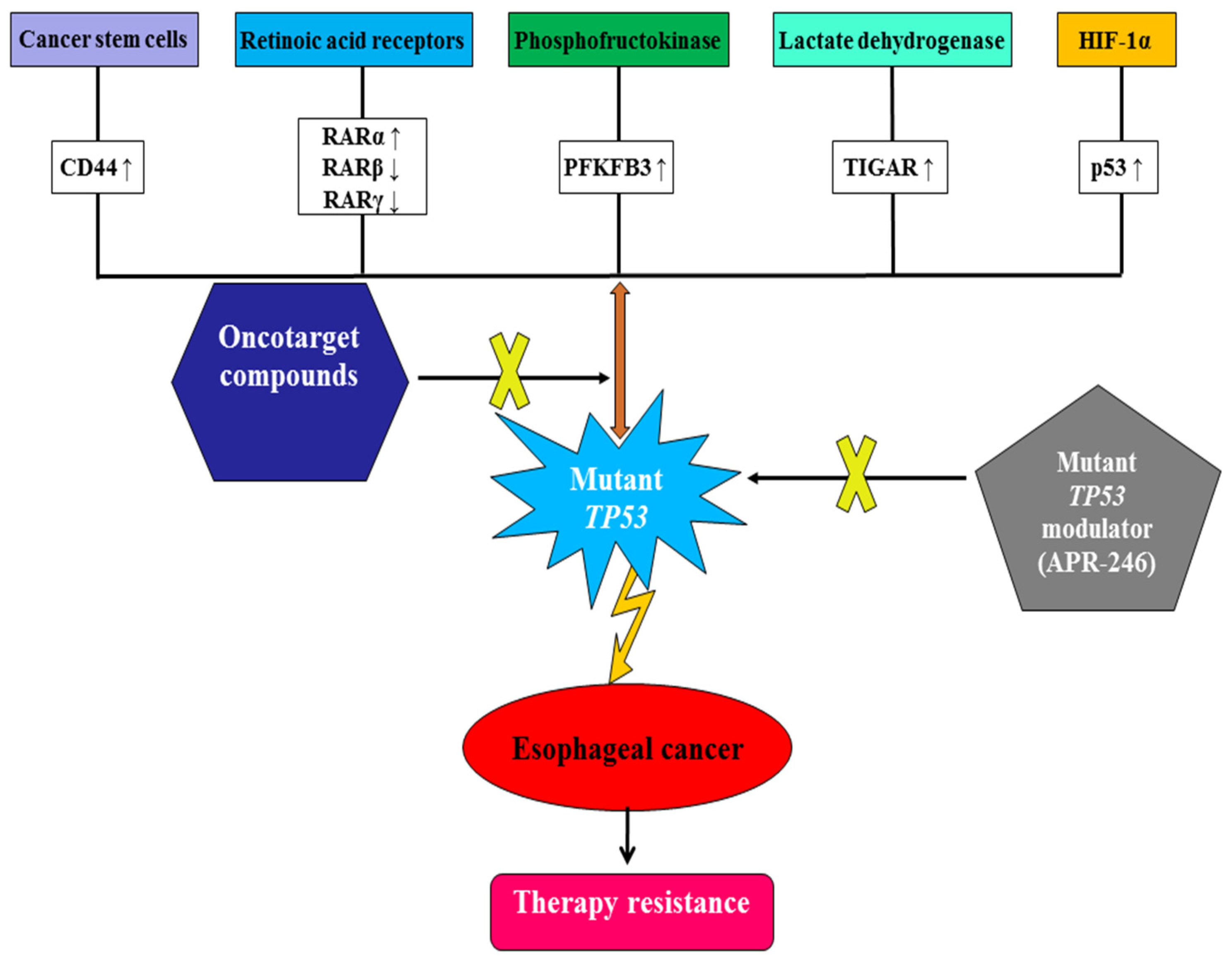 Biomedicines 13 00450 g001
