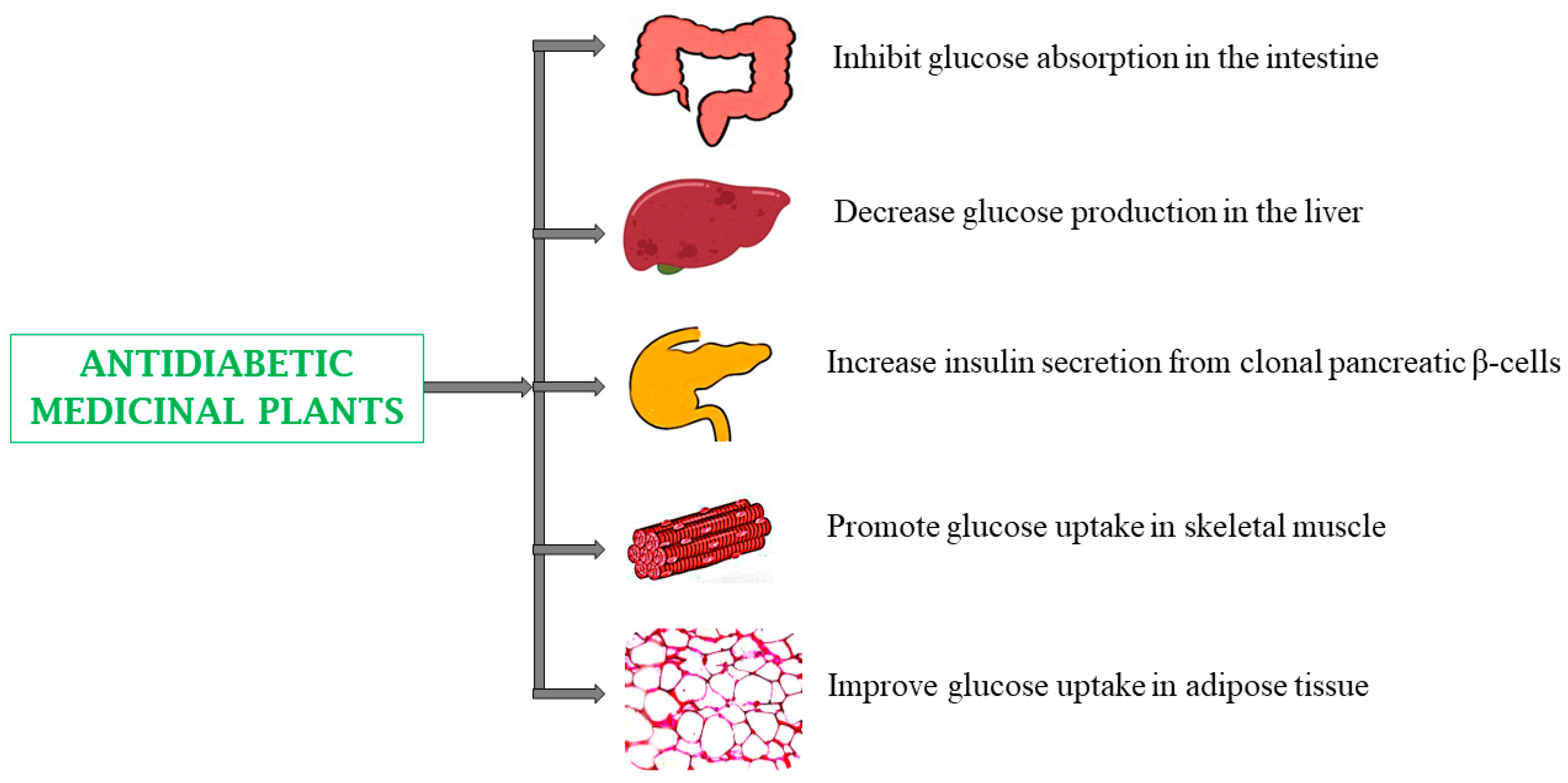 Biomedicines 13 00454 g003