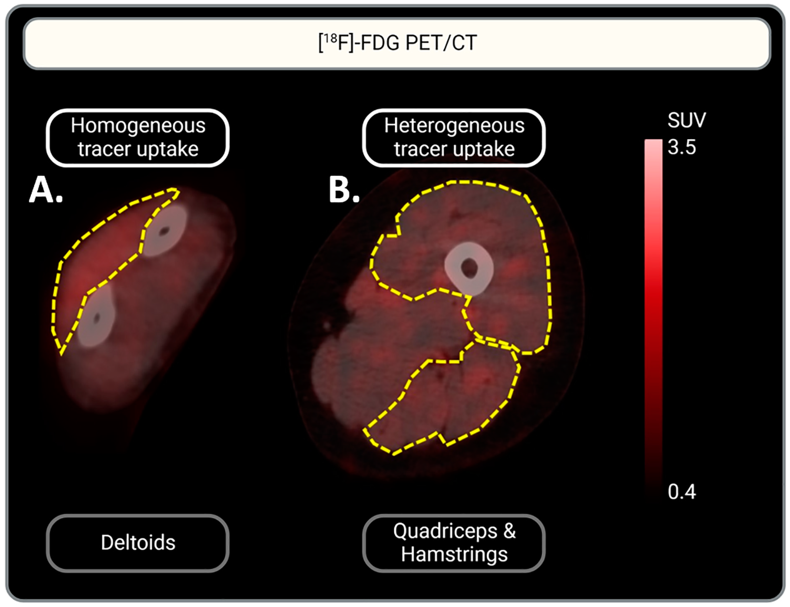 Biomedicines 13 00465 g002 Biomedicines 13 00465 g002