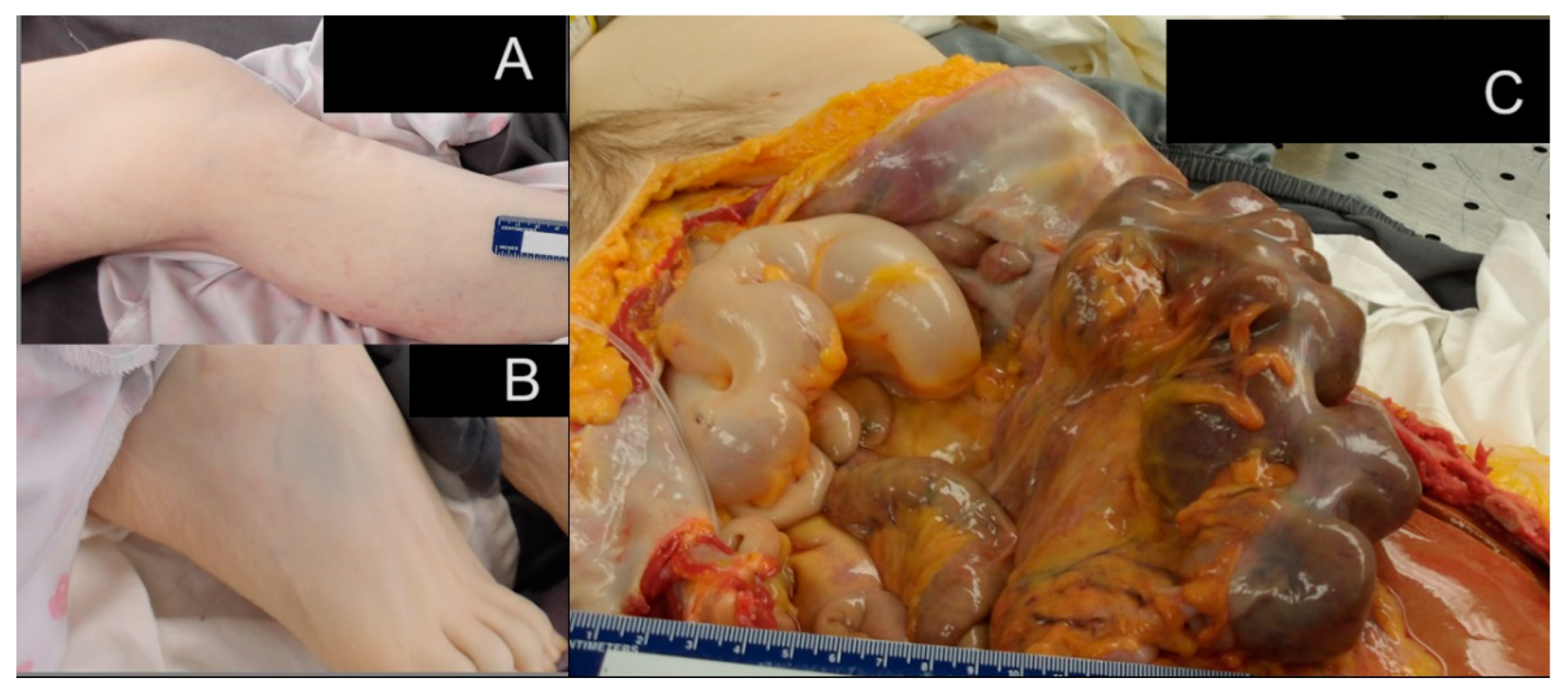 Biomedicines 13 00469 g003