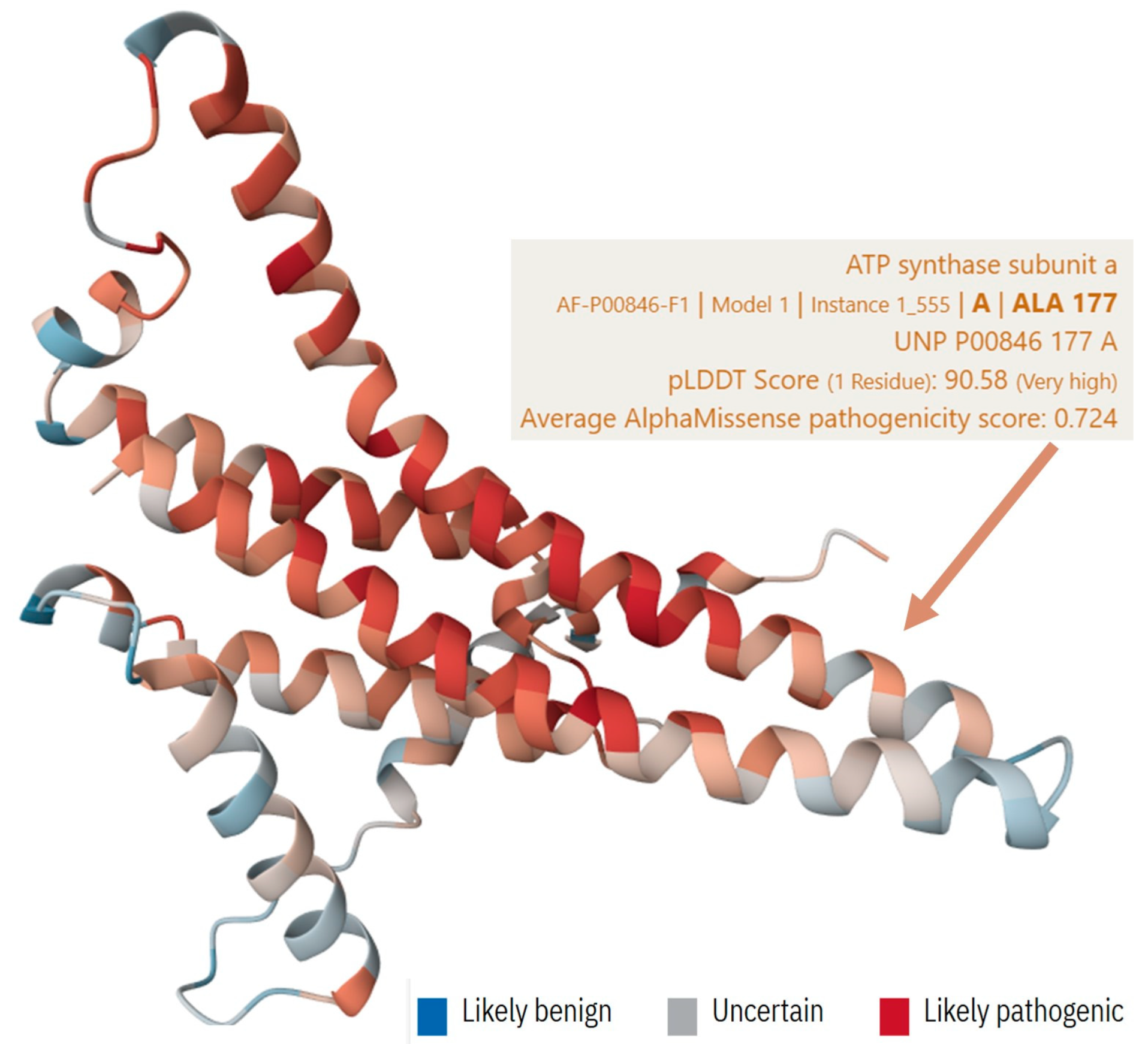 Biomedicines 13 00469 g005