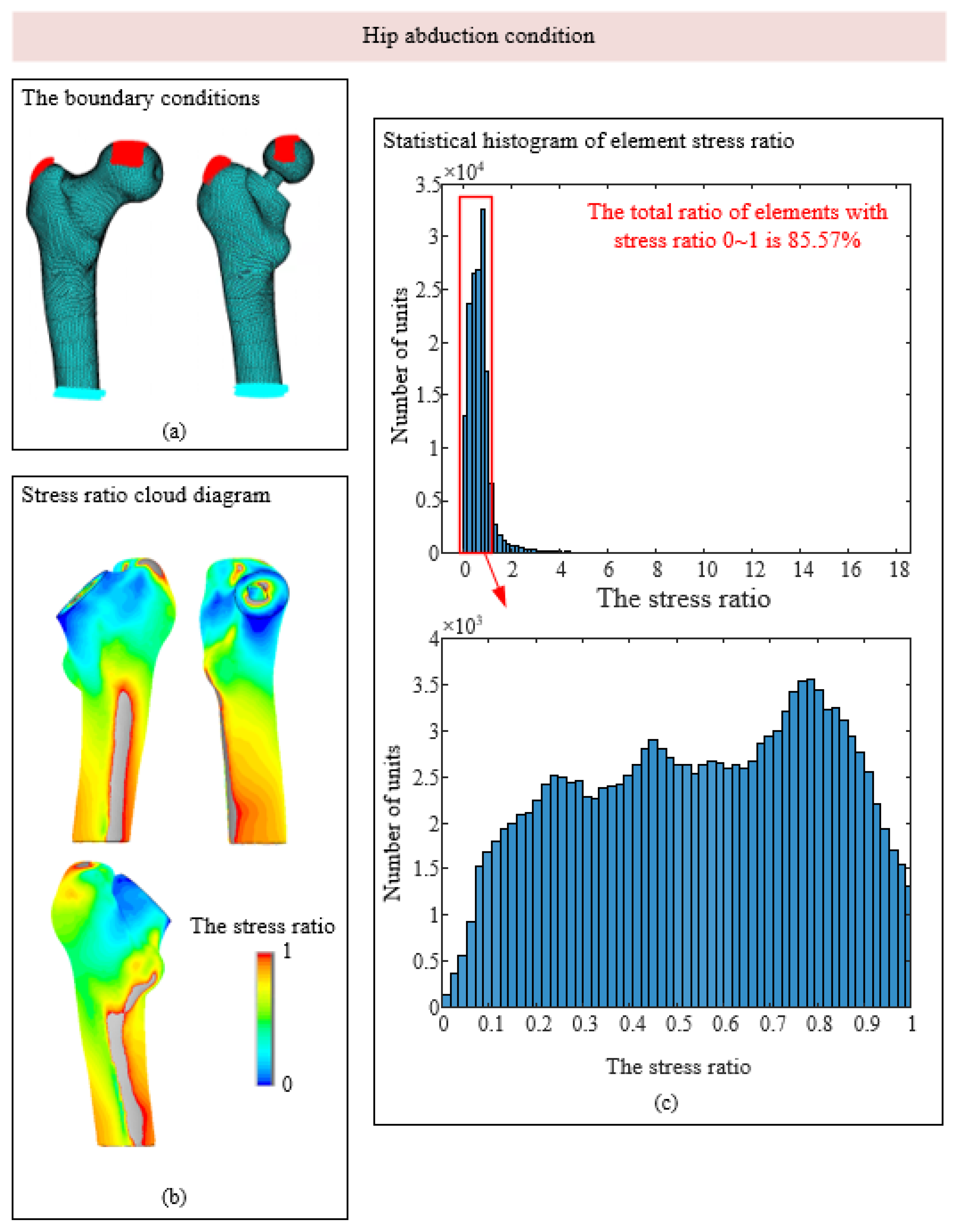 Biomedicines 13 00471 g006