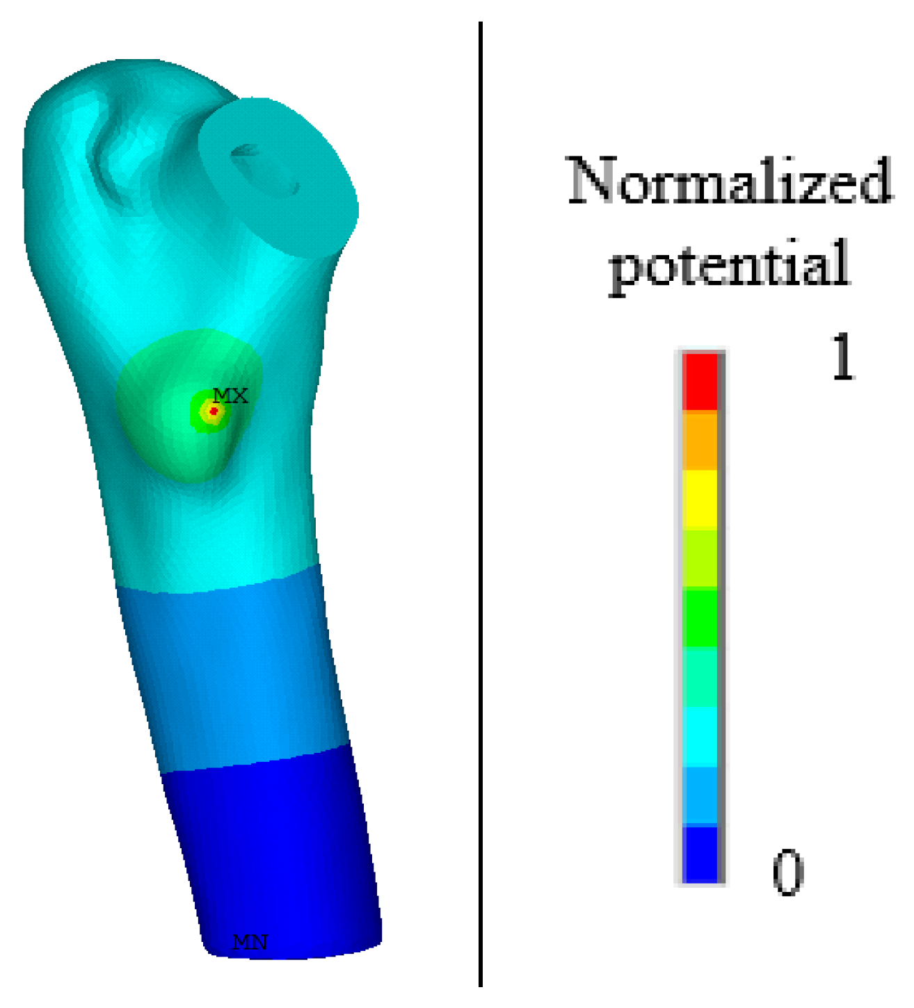 Biomedicines 13 00471 g009