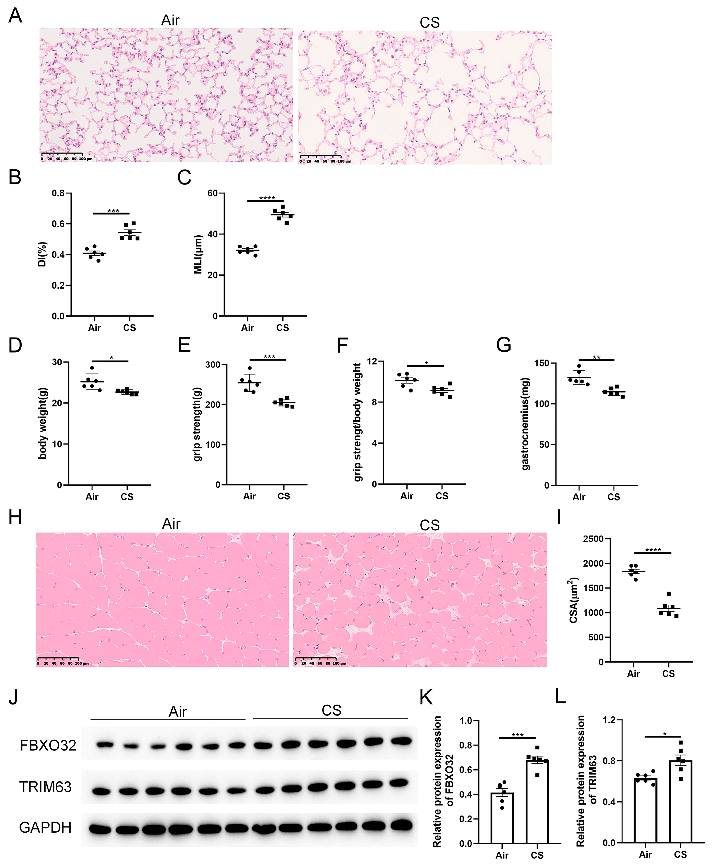 Biomedicines 13 00474 g001