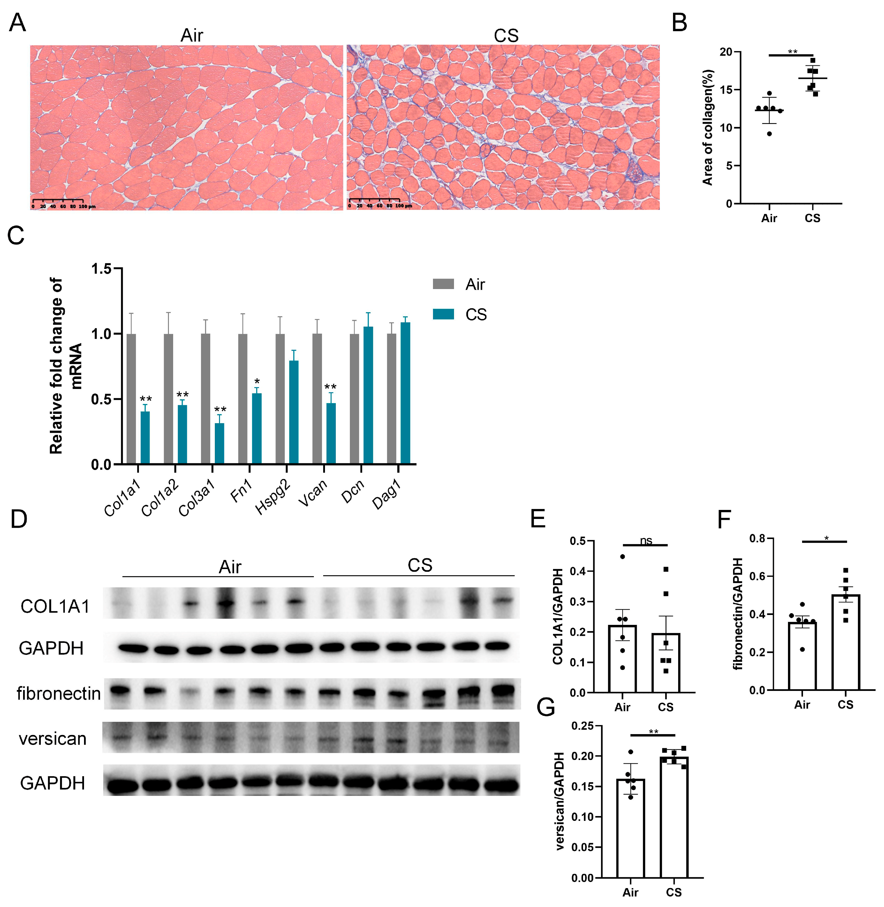 Biomedicines 13 00474 g002