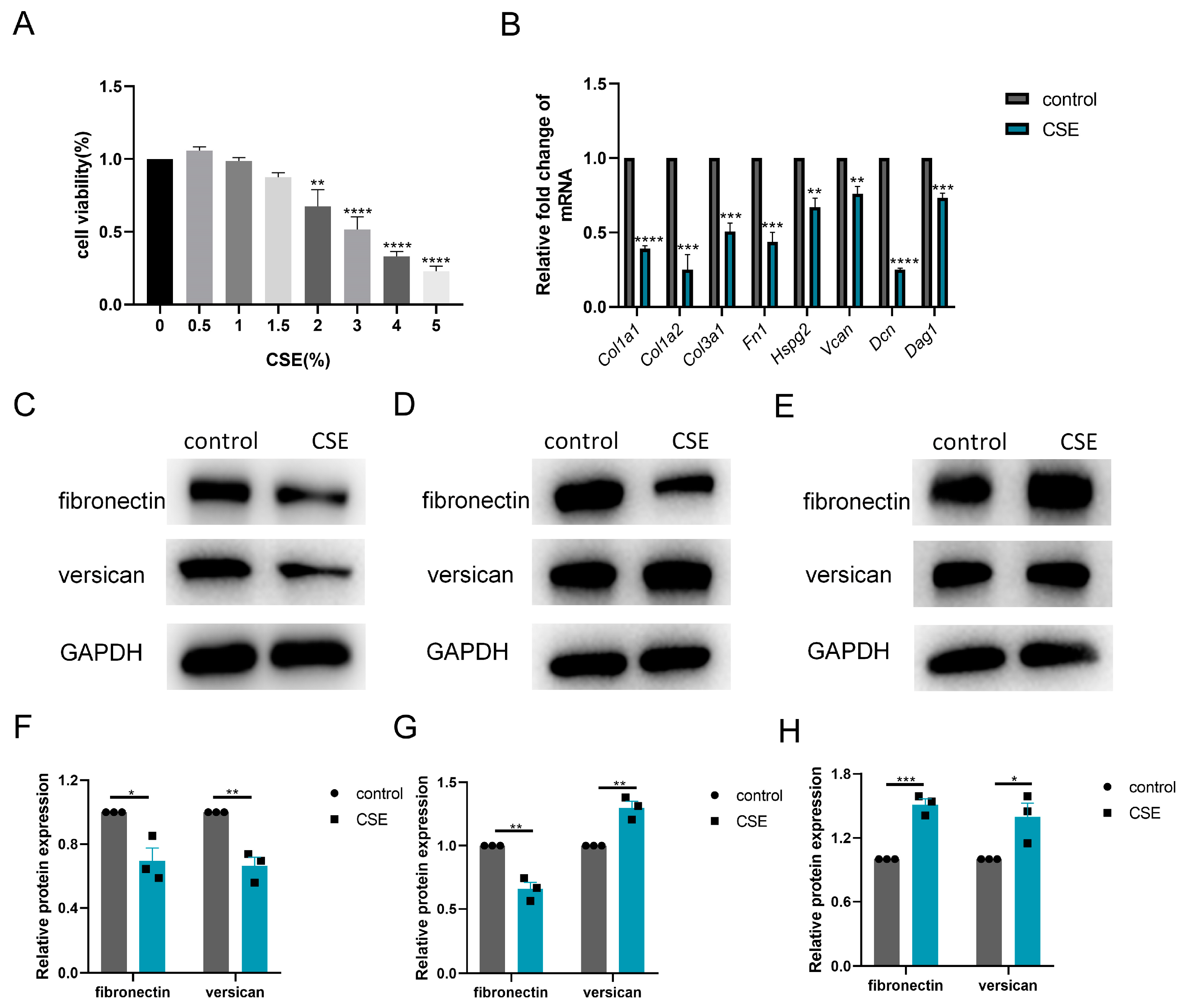 Biomedicines 13 00474 g004