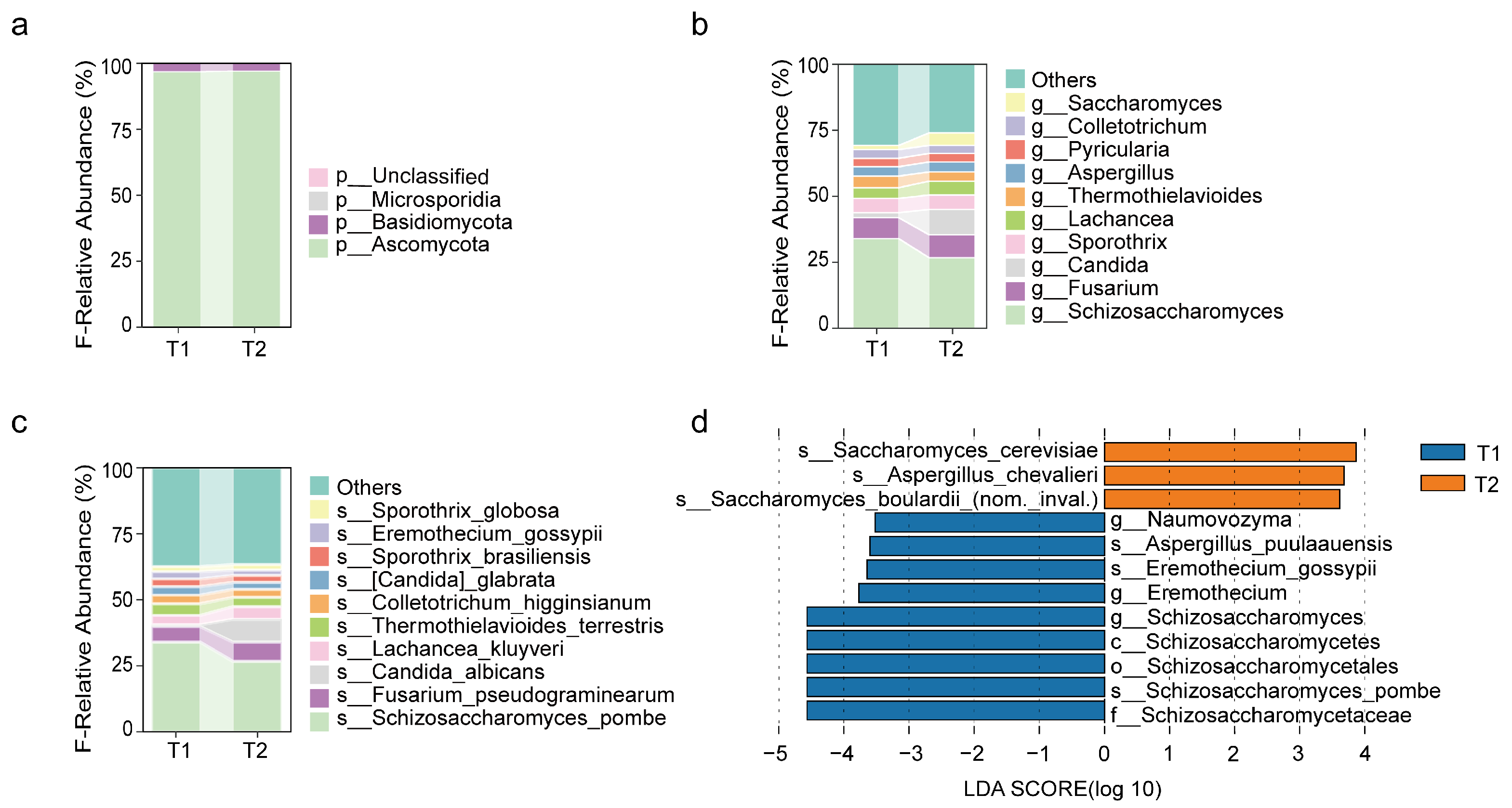 Biomedicines 13 00475 g003