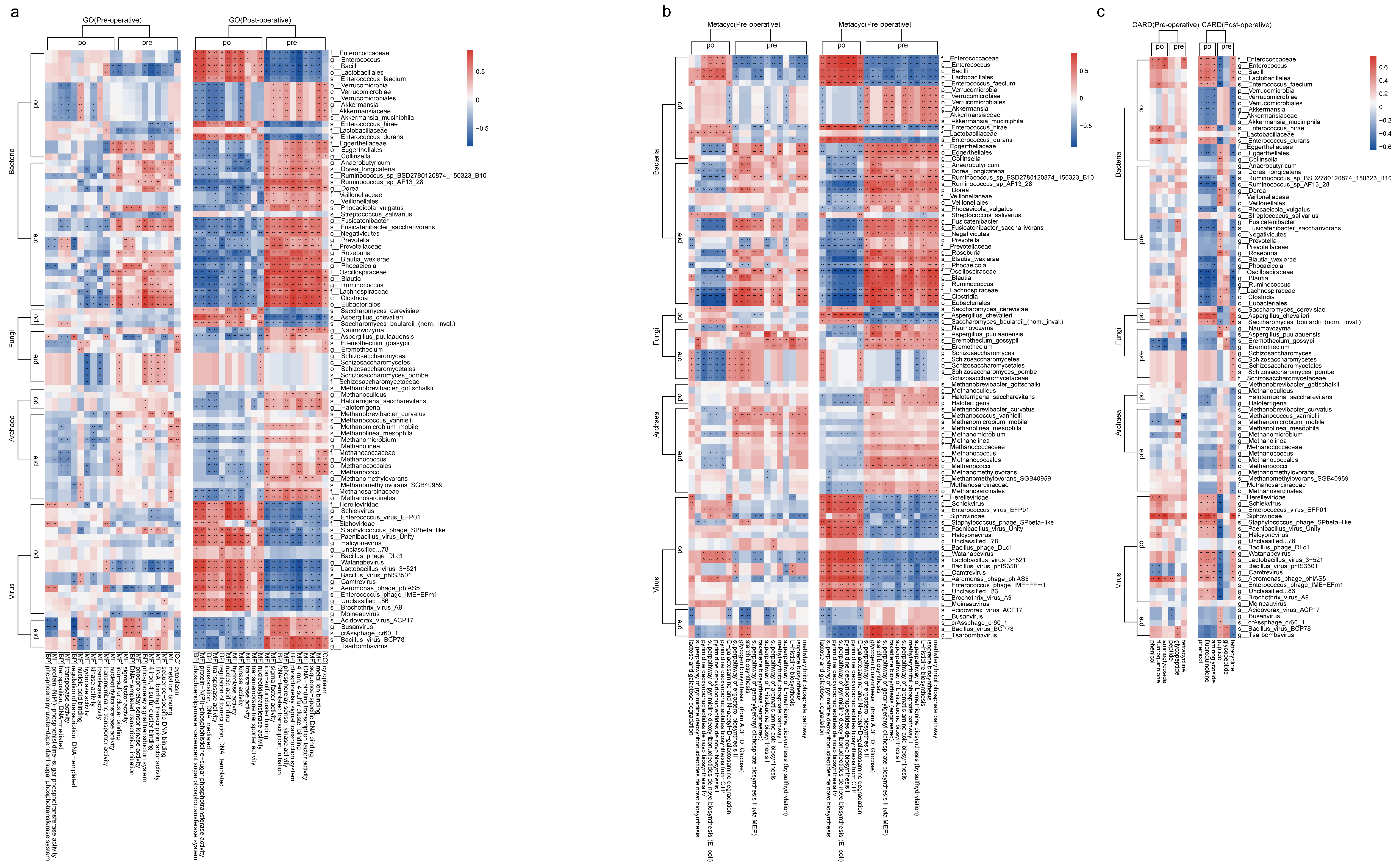Biomedicines 13 00475 g008