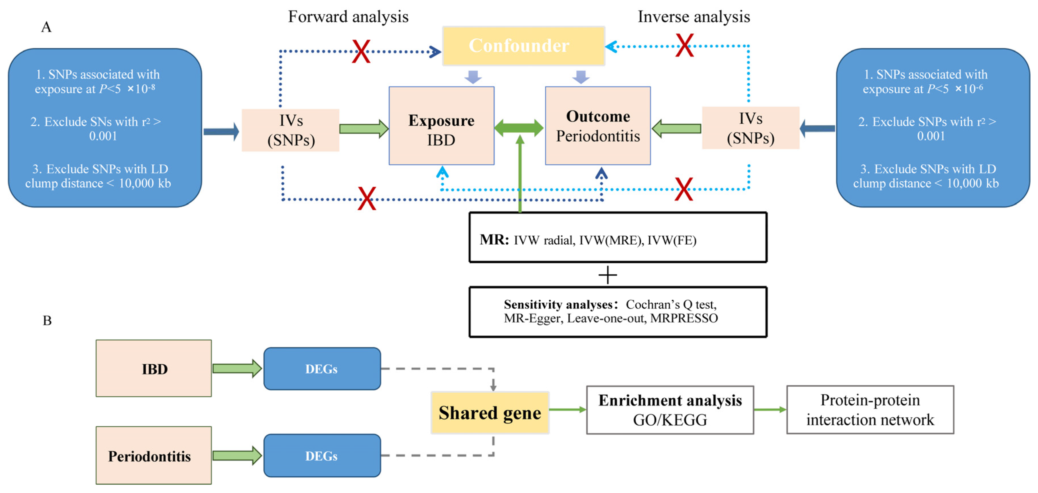 Biomedicines 13 00476 g001