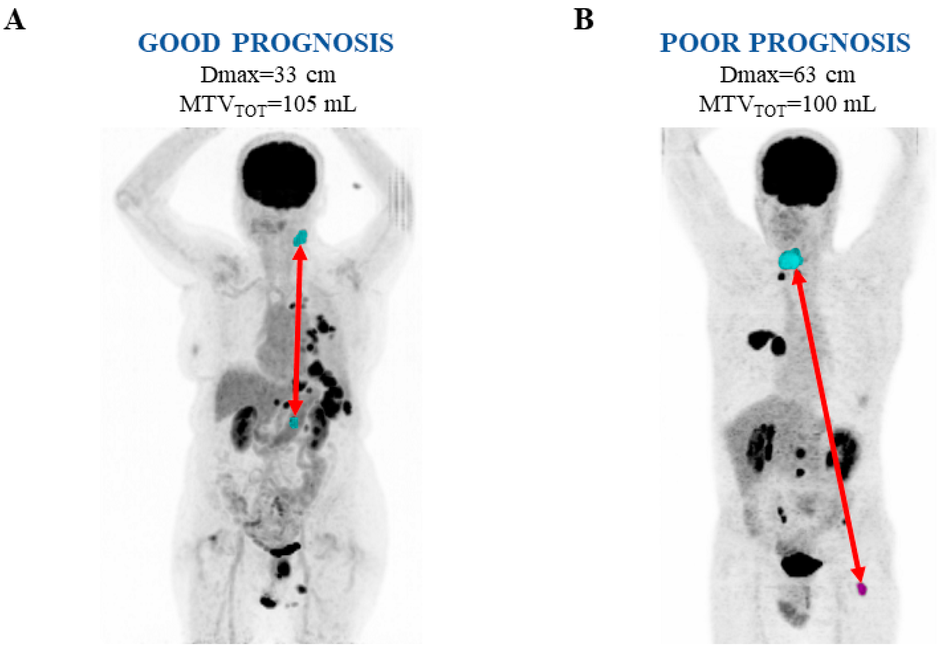 Biomedicines 13 00477 g003