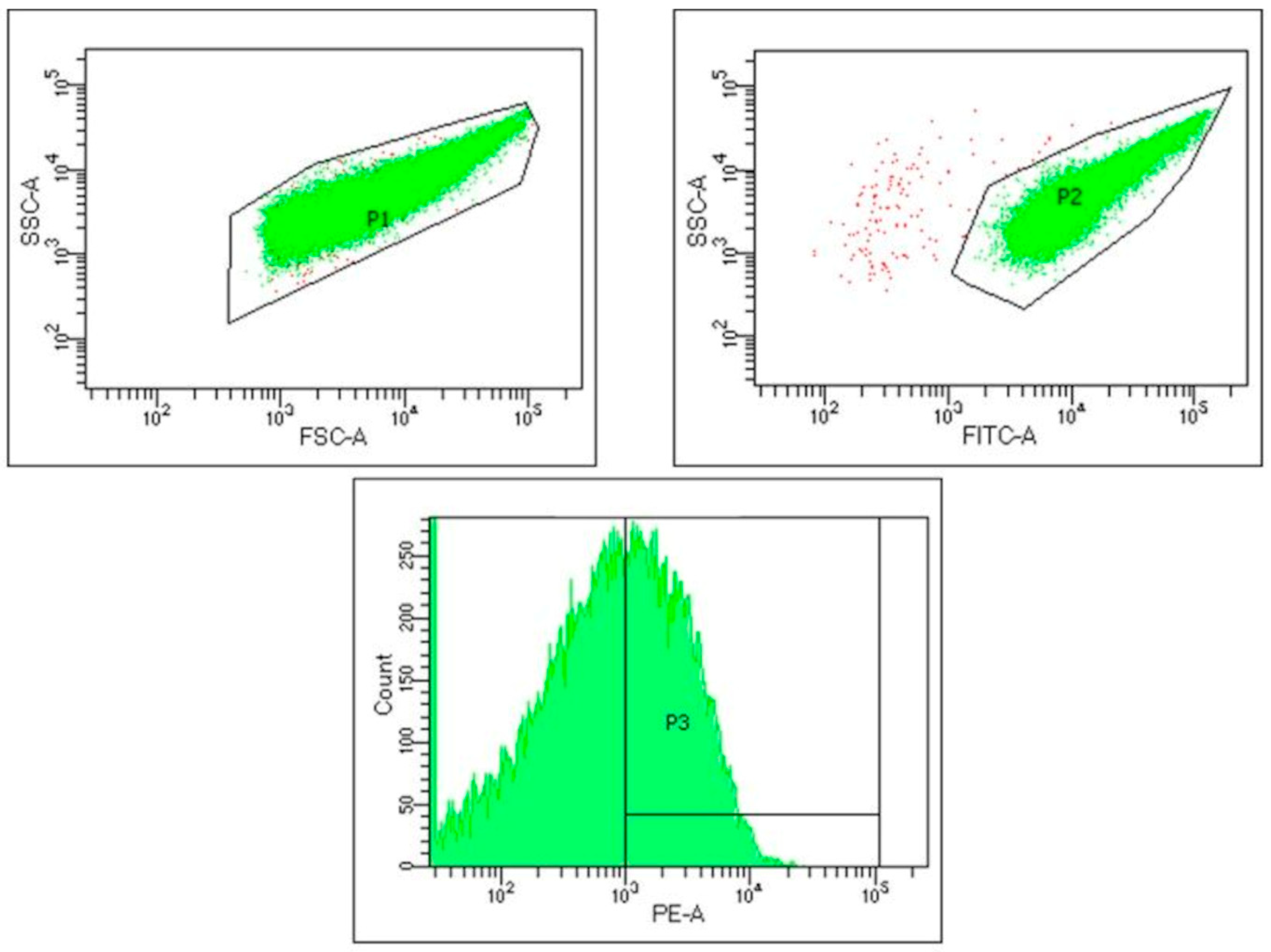 Biomedicines 13 00478 g002 Biomedicines 13 00478 g002
